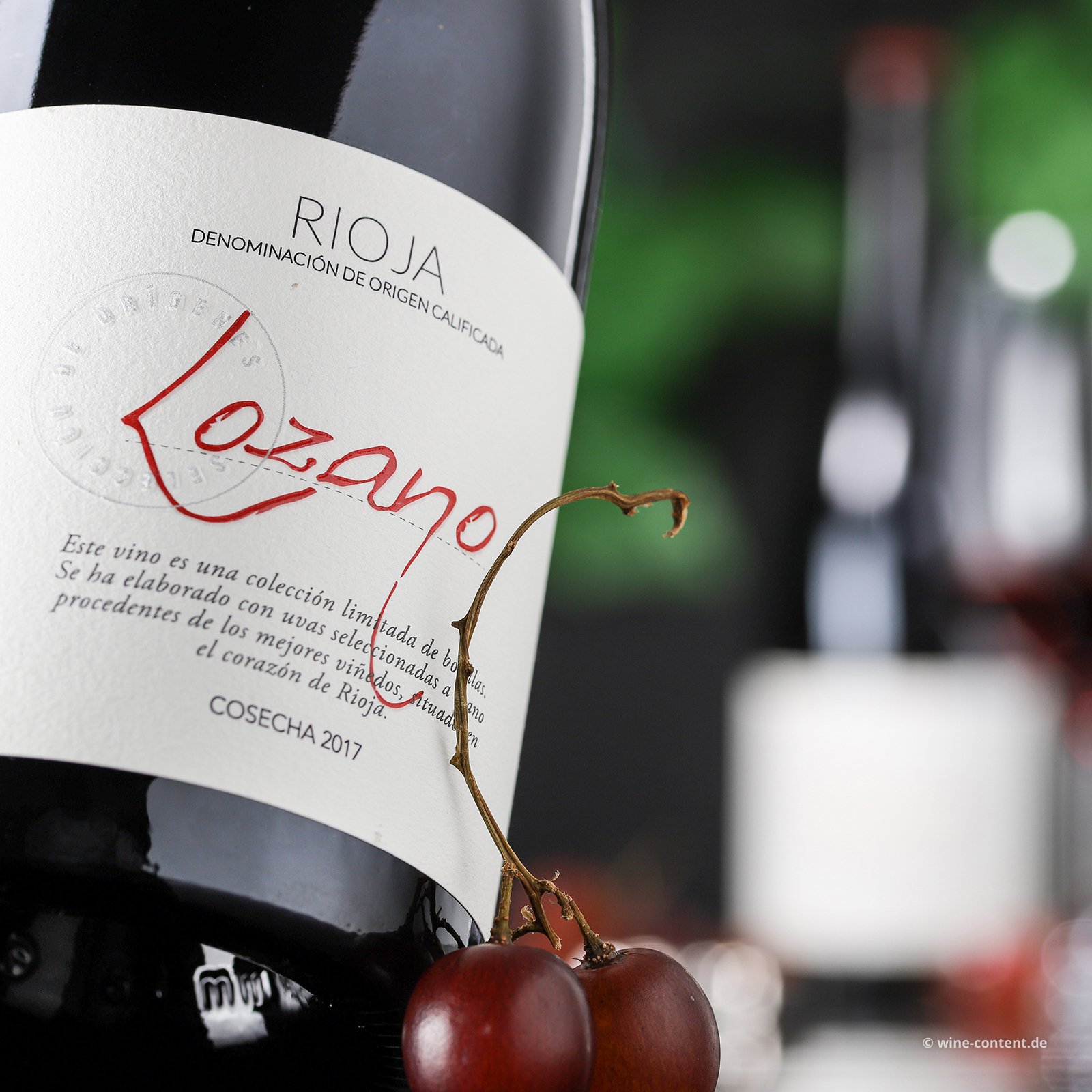 Rioja 2017 Lozano