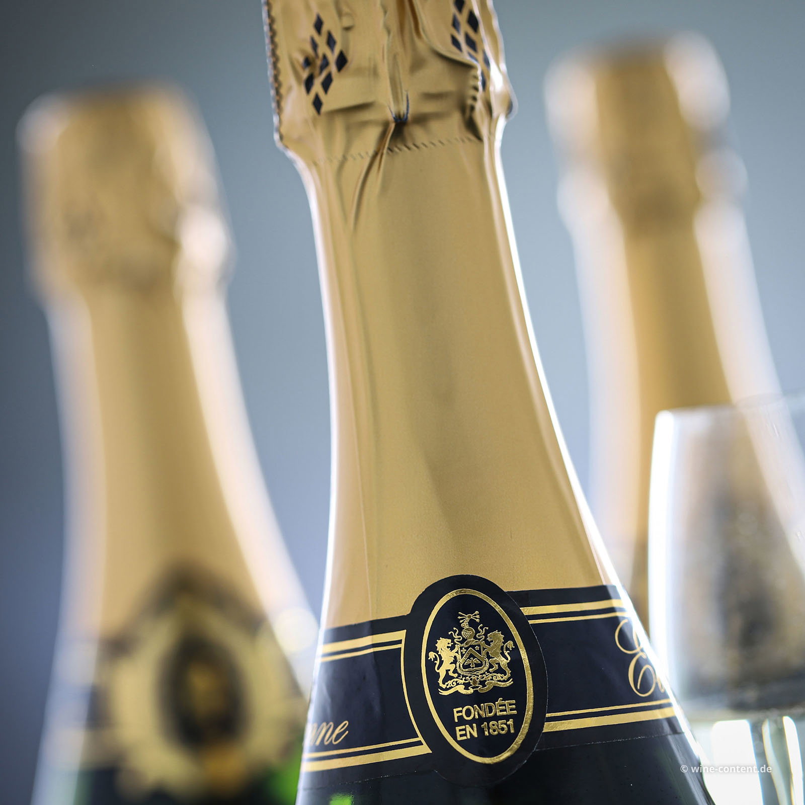 6er-Sparpaket Crémant de Loire Etienne Brut