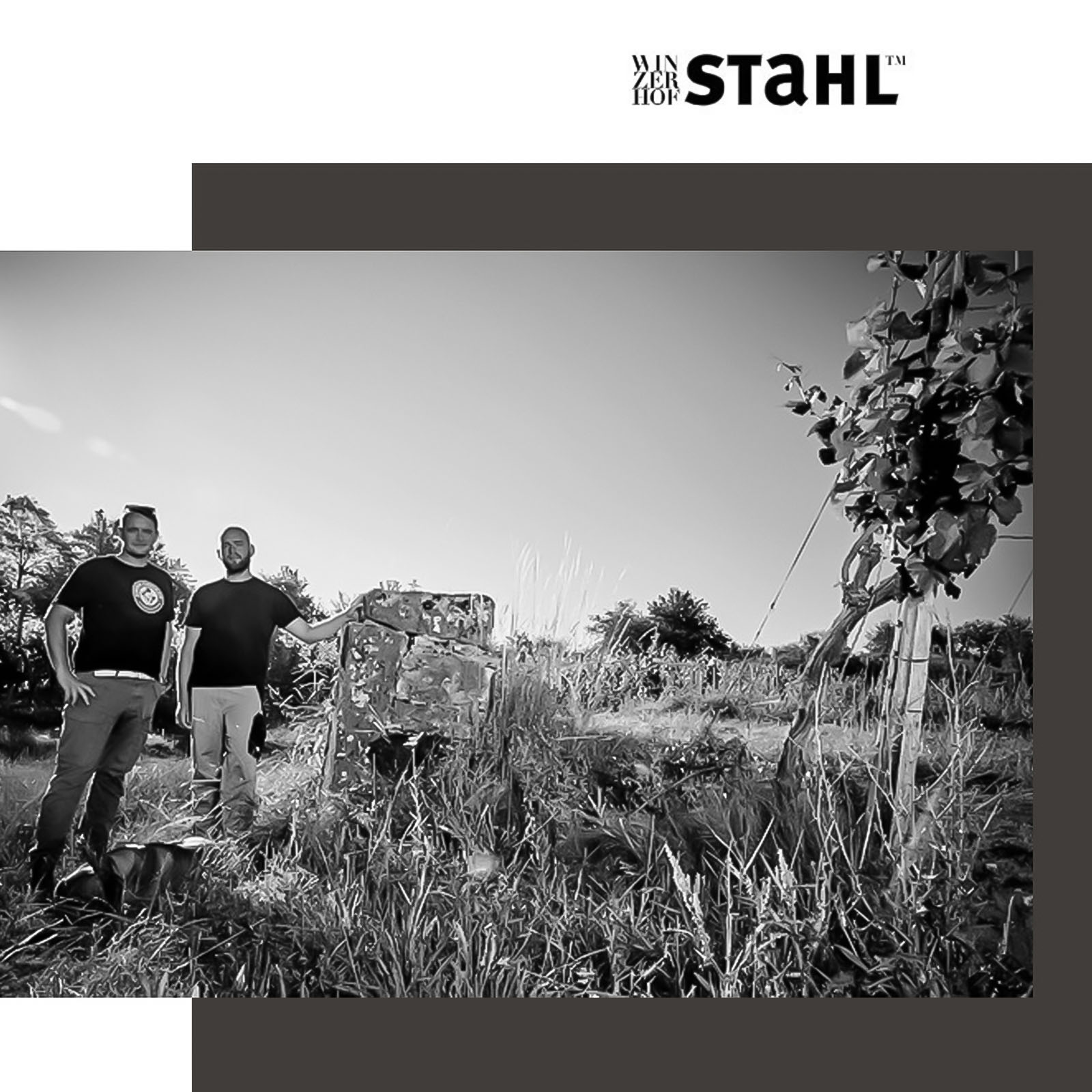 Nachschlag Bright Side Of Life 2024 Nachschlag Bright Side Of Life 2024