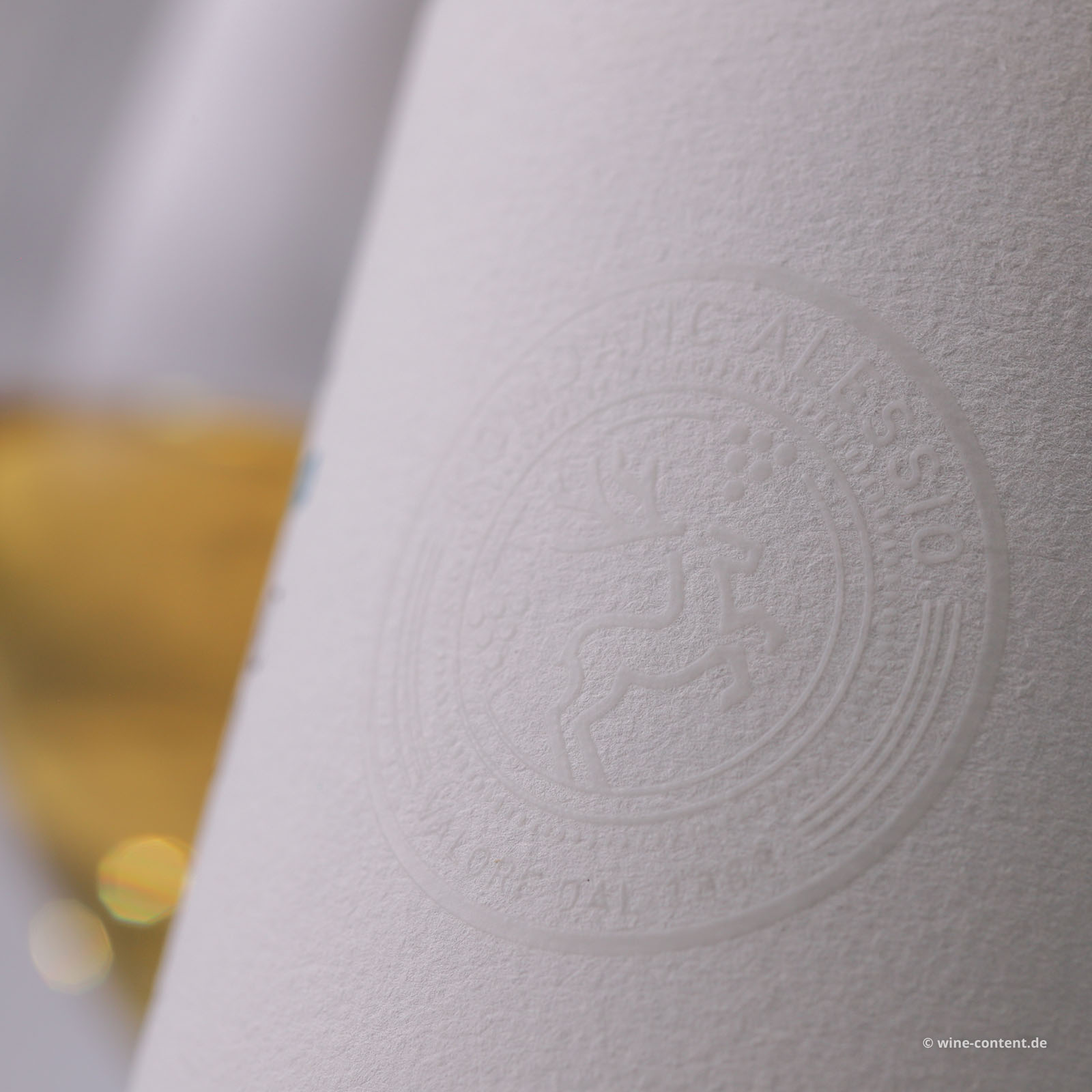 Pinot Grigio Collio 2024