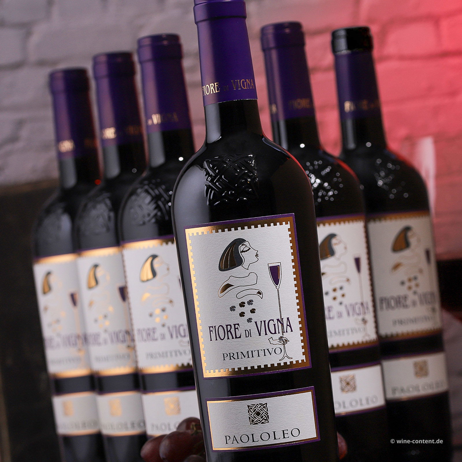 6er-Sparpaket Primitivo Salento 2021 Fiore di Vigna 6er-Sparpaket Primitivo Salento 2021 Fiore di Vigna