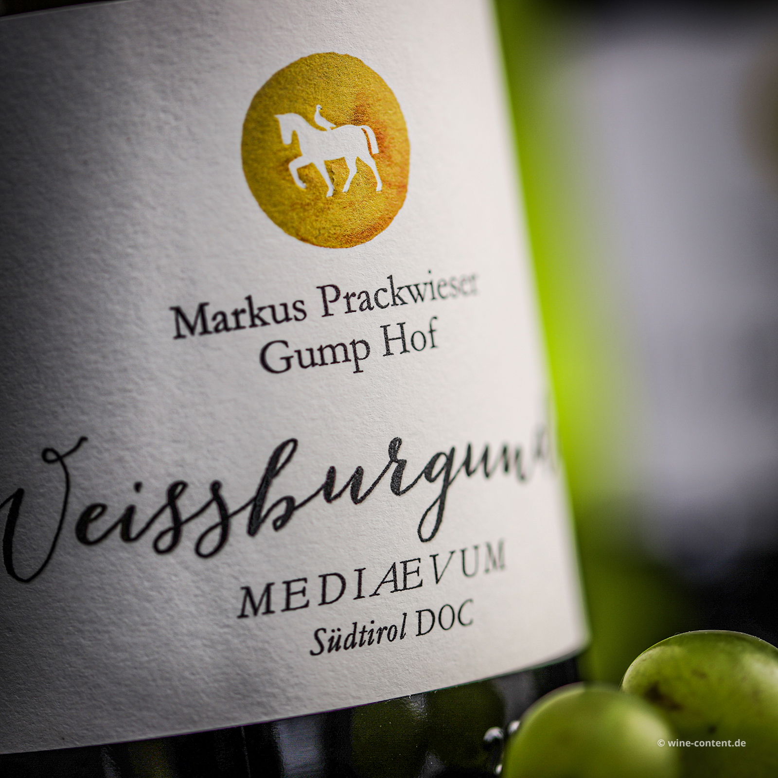 Weissburgunder 2024 Mediaevum