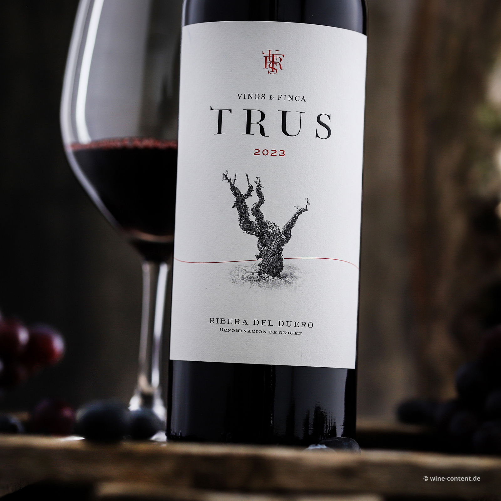 Tempranillo 2023 Roble Tempranillo 2023 Roble