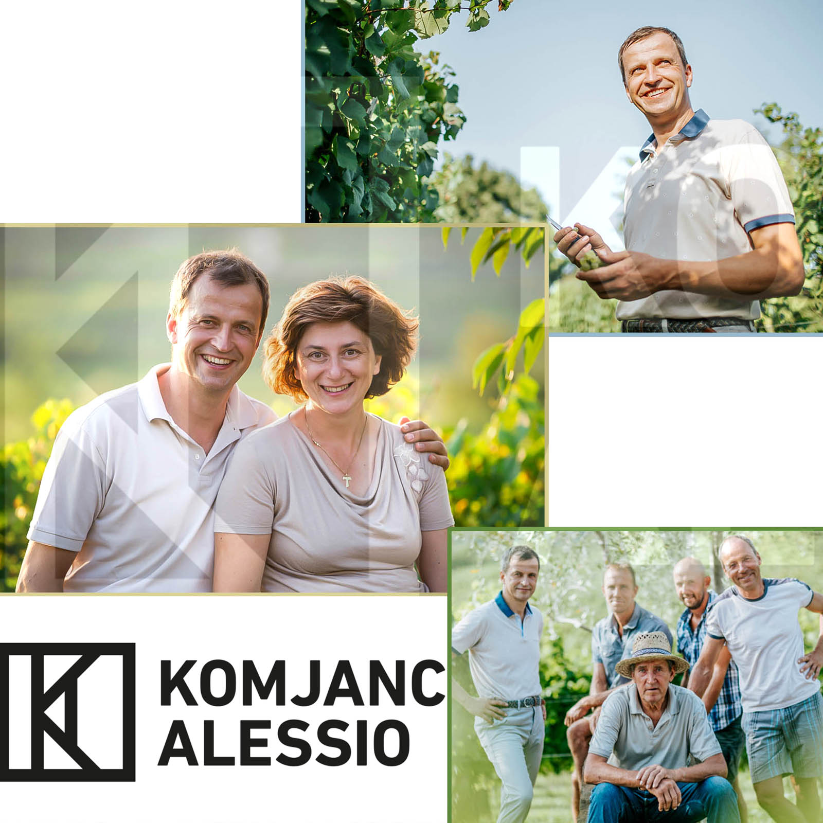 Pinot Grigio 2021 Collio