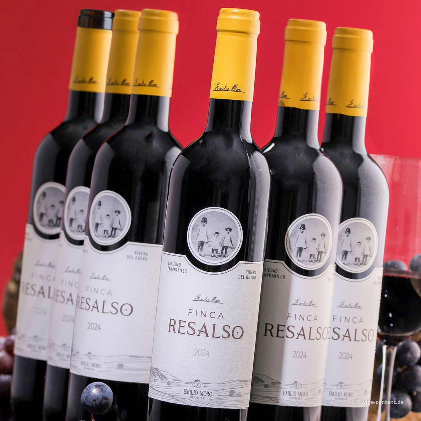 6er-Sparpaket Tempranillo 2024 Finca Resalso