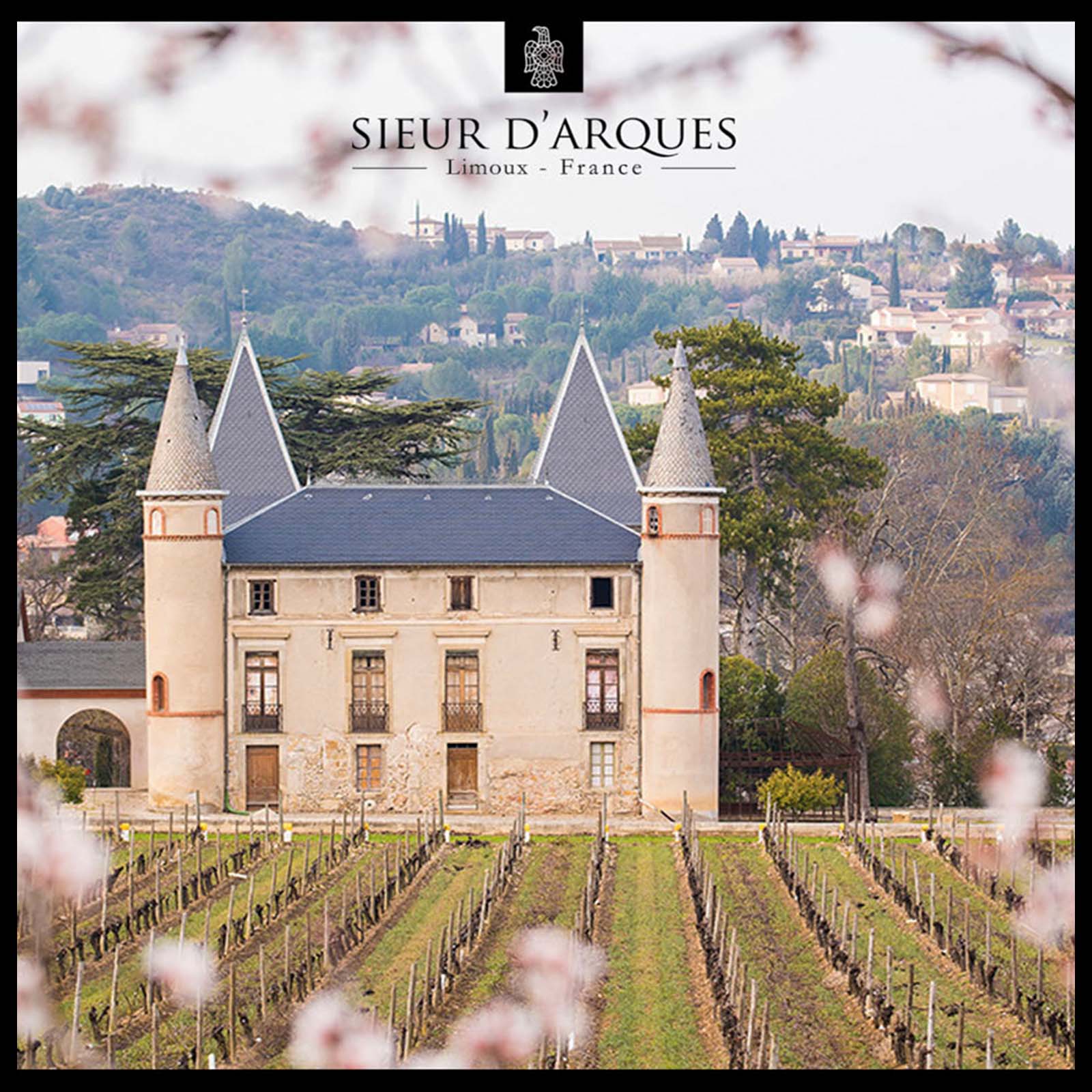 6er-Sparpaket Crémant de Limoux Rosé Blason Rouge Brut