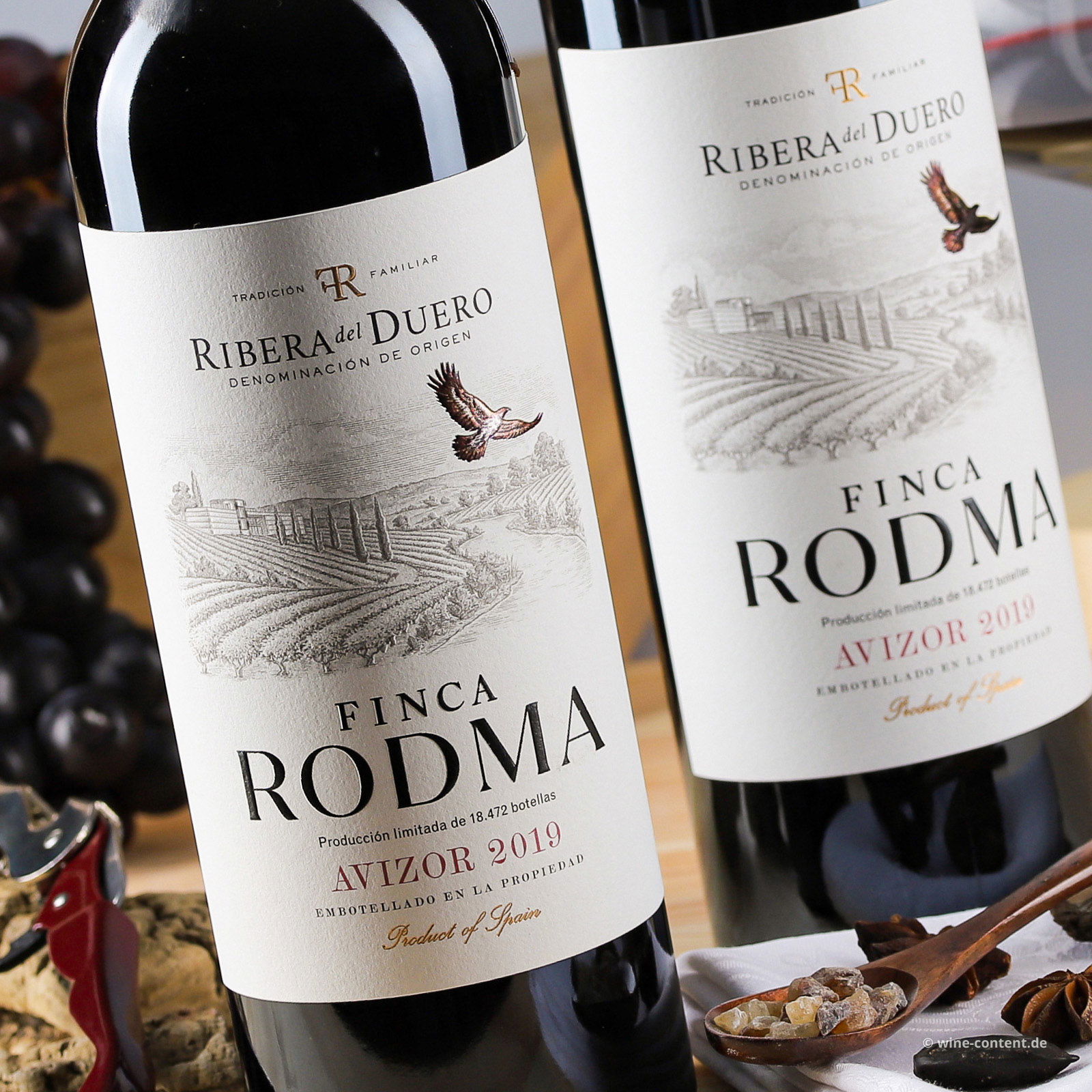 Tempranillo 2019 Avizor Tempranillo 2019 Avizor