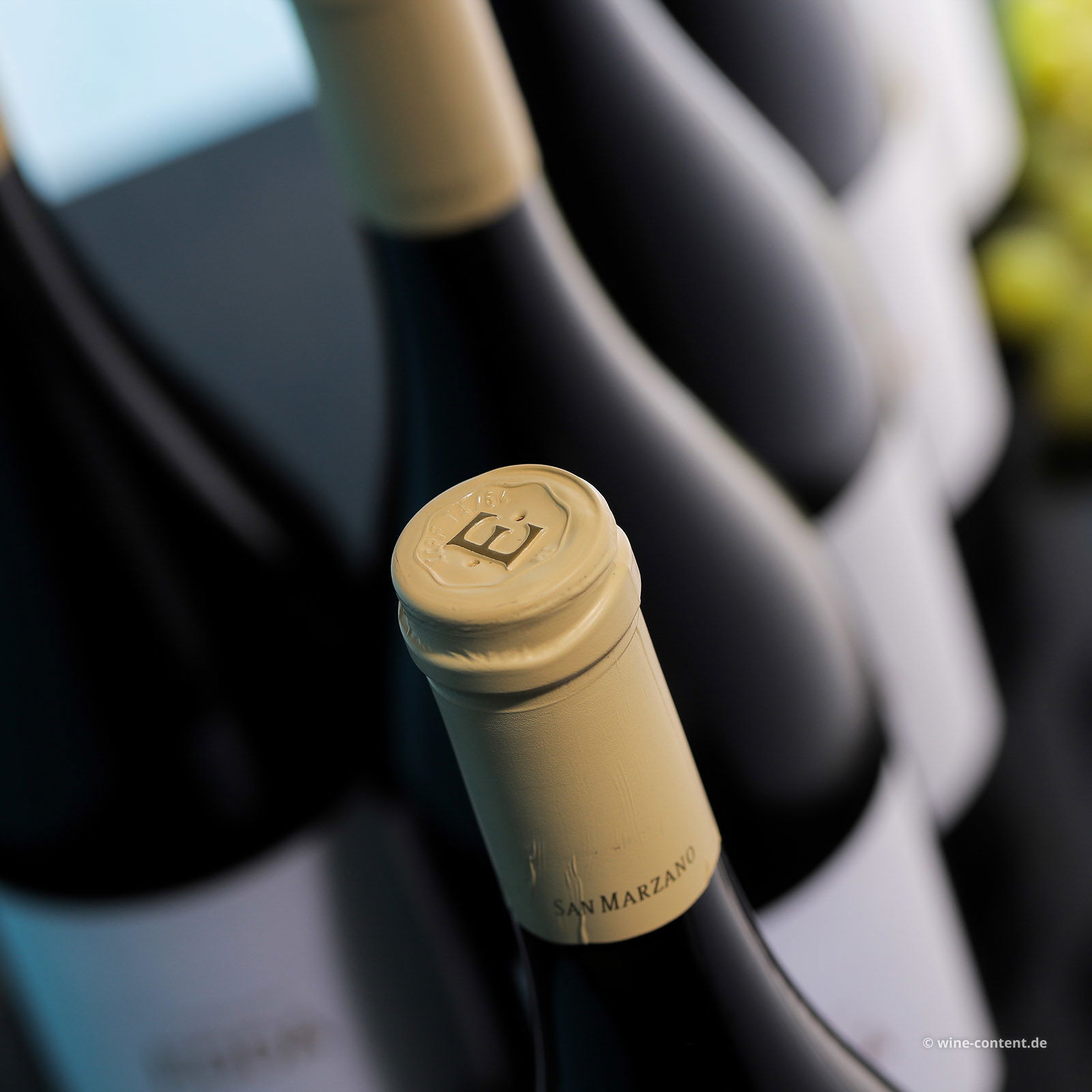 6er-Sparpaket Salento Bianco 2024 Edda