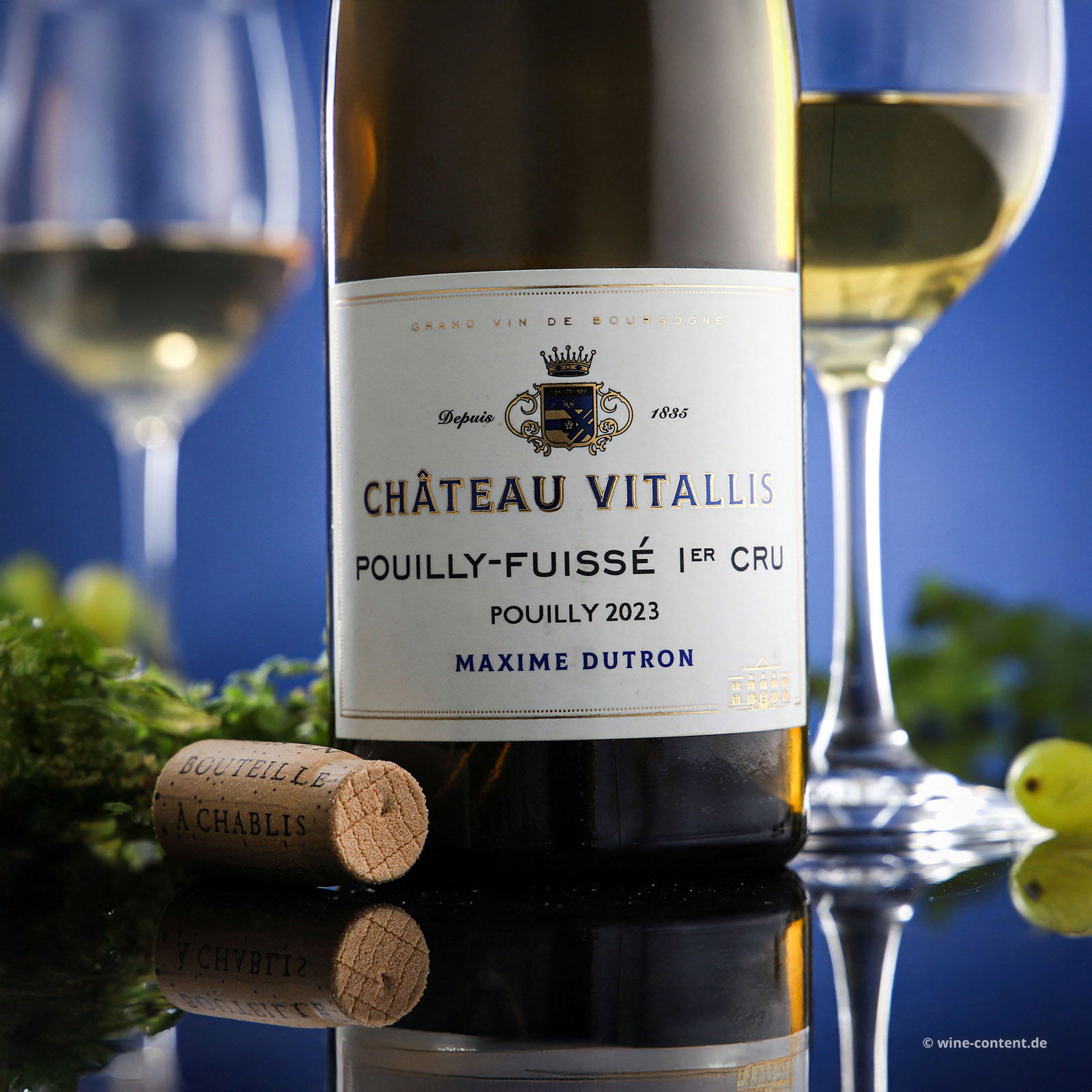 Pouilly-Fuissé 1er Cru 2023 Pouilly