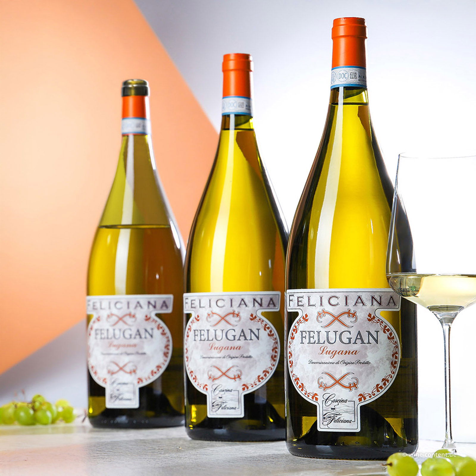 3er-Paket Lugana 2024 Felugan Magnum
