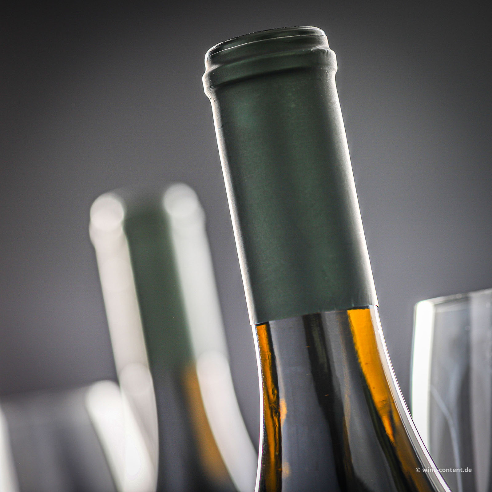 Sauvignon Blanc 2025