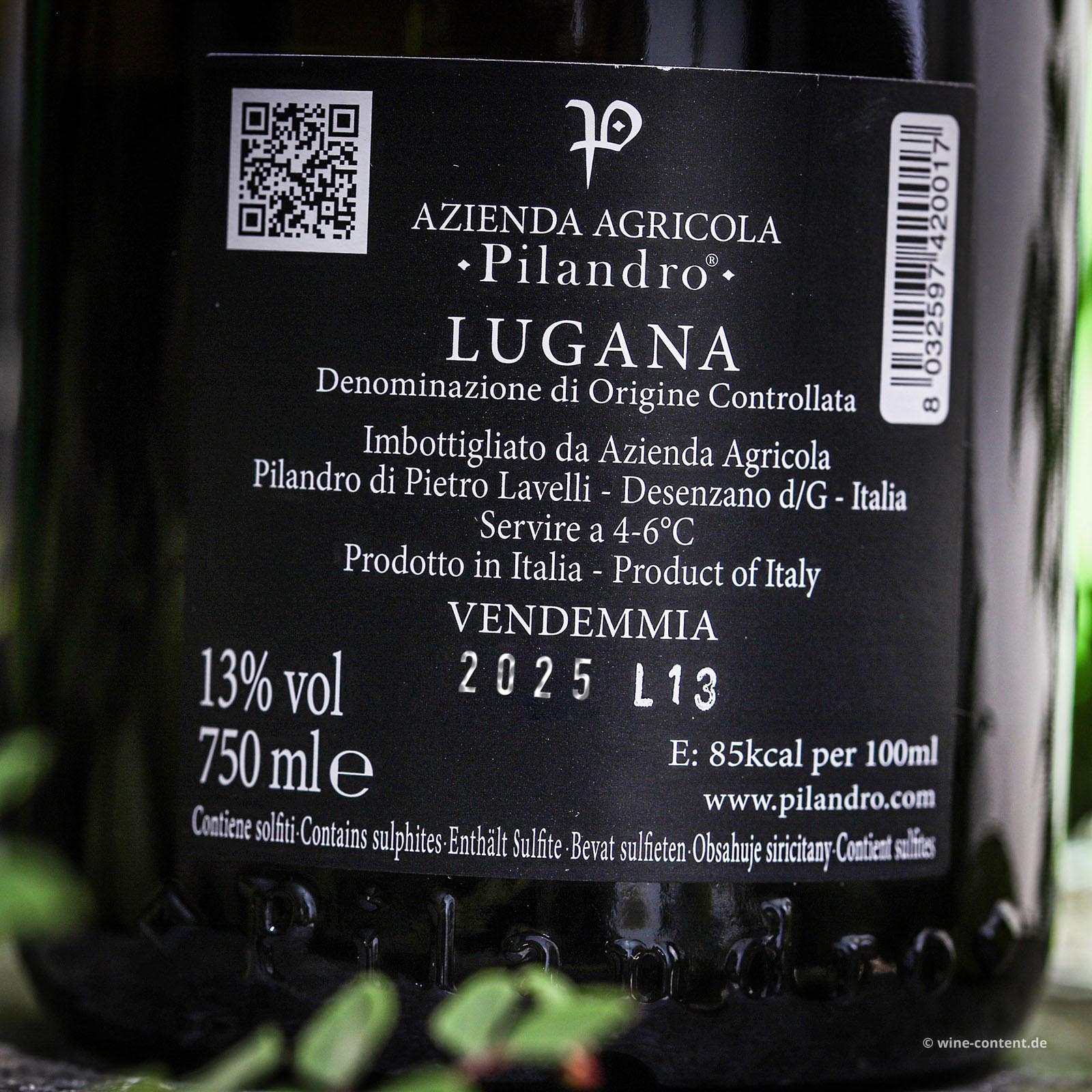 Lugana 2025 TereCrèa