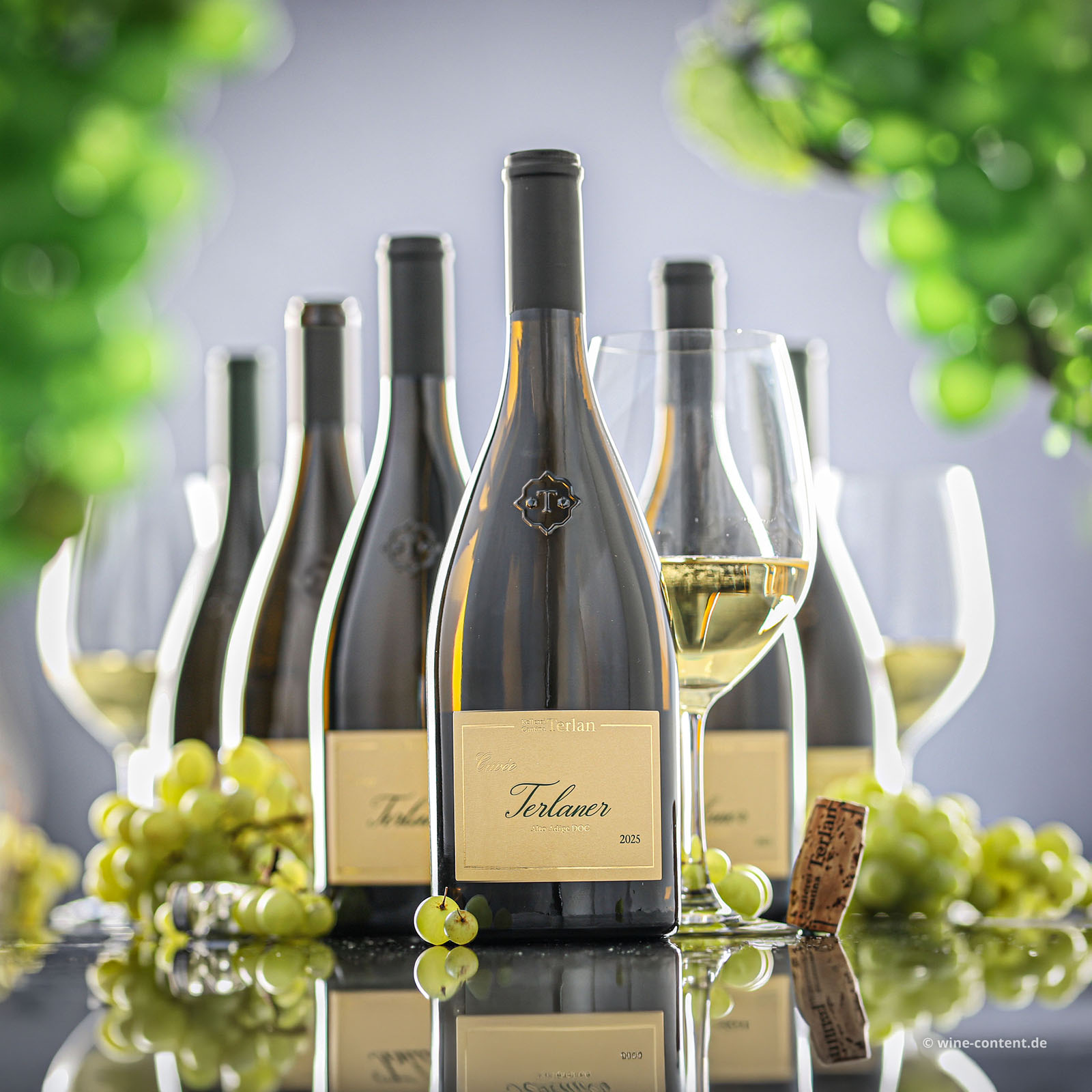 6er-Sparpaket Terlaner Cuvée 2025