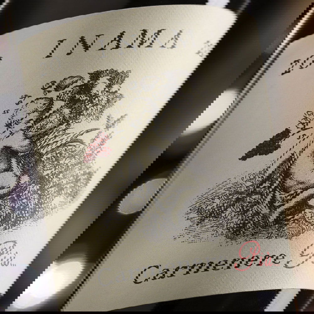 Carmenere Più 2022