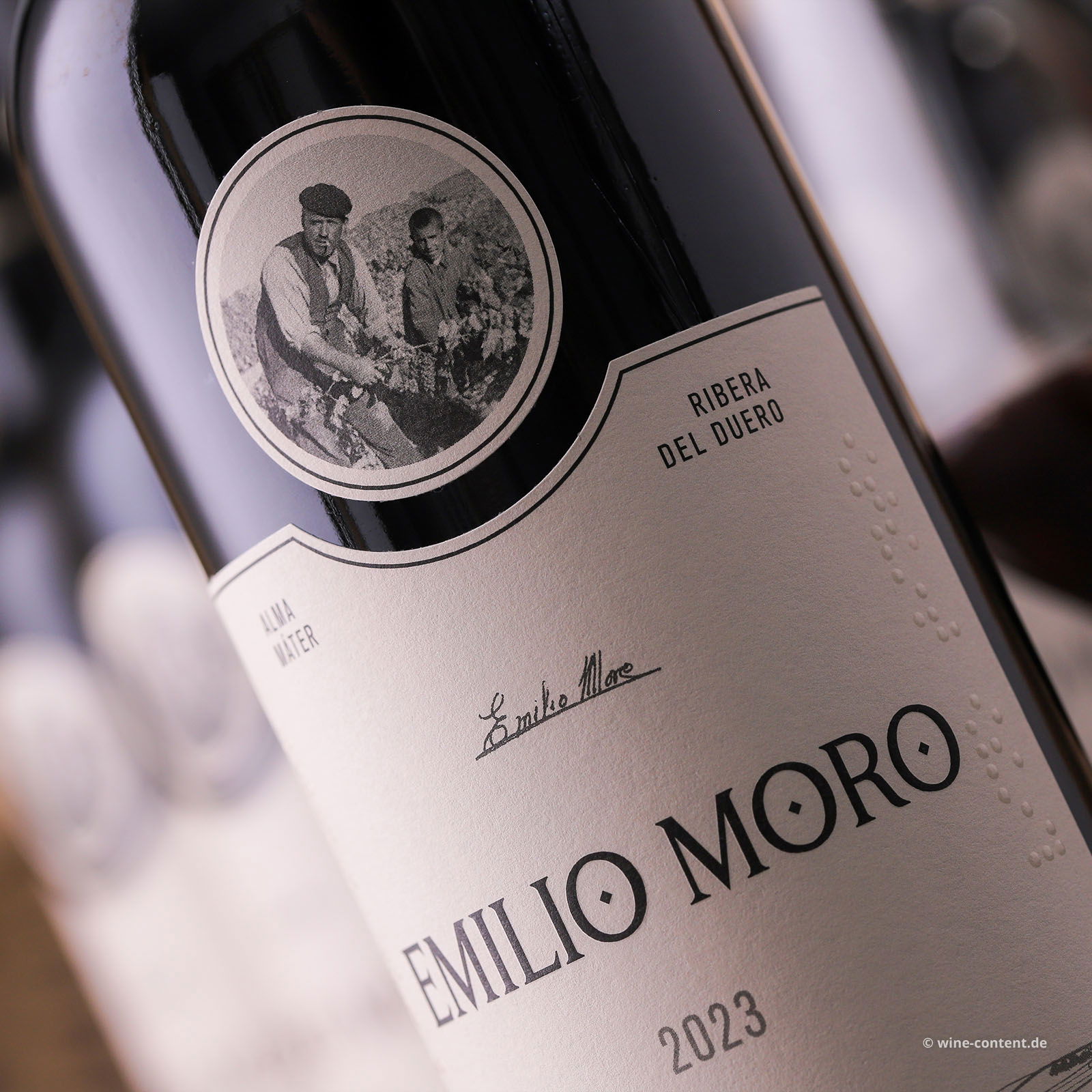 6er-Sparpaket Tempranillo 2023 Emilio Moro