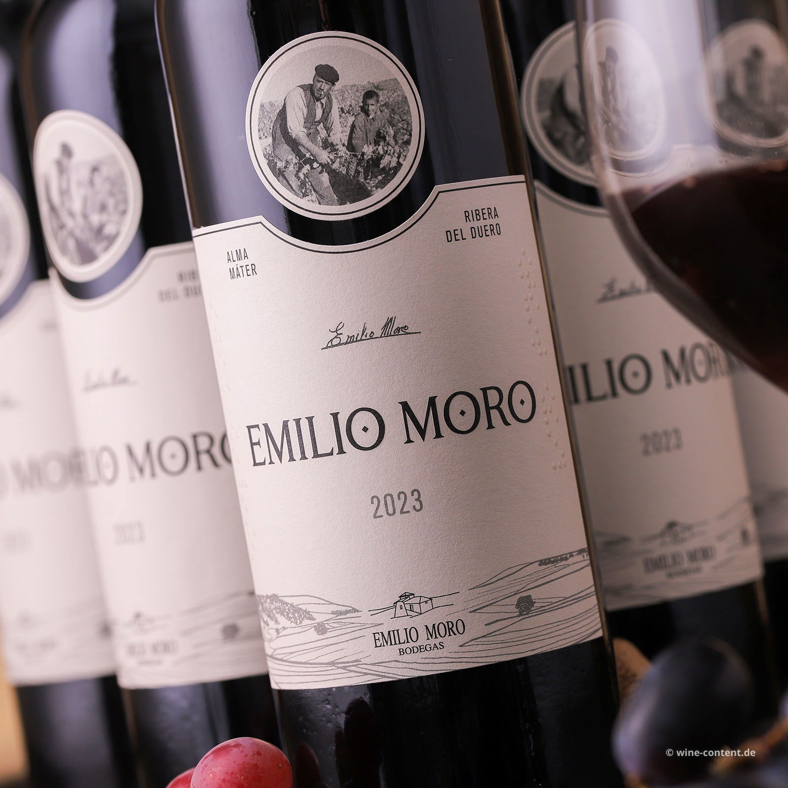 6er-Sparpaket Tempranillo 2023 Emilio Moro