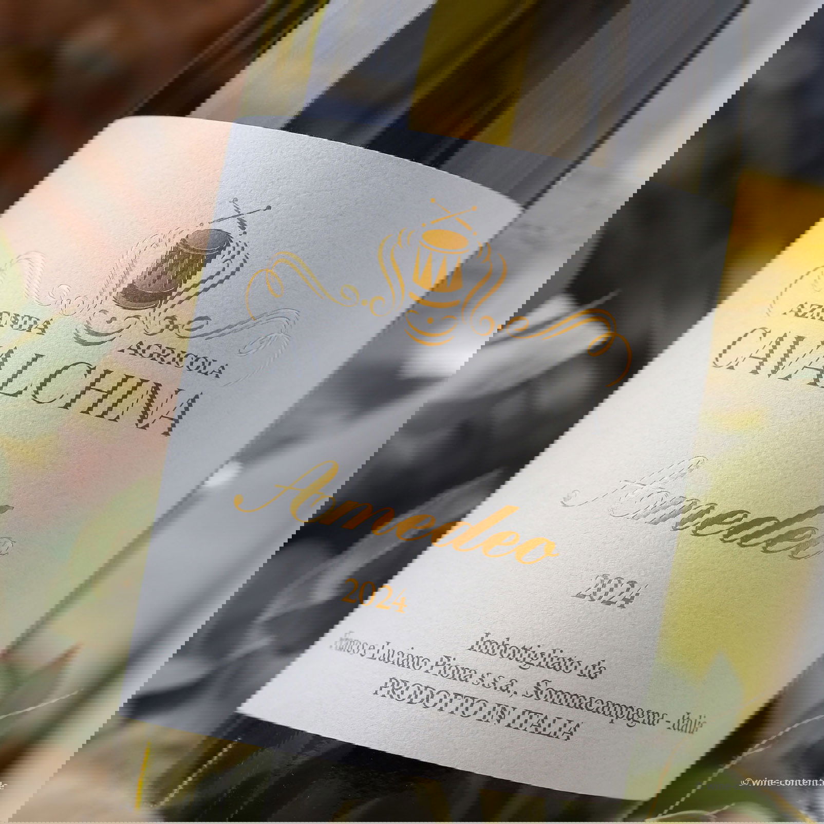 Custoza Superiore 2024 Amedeo