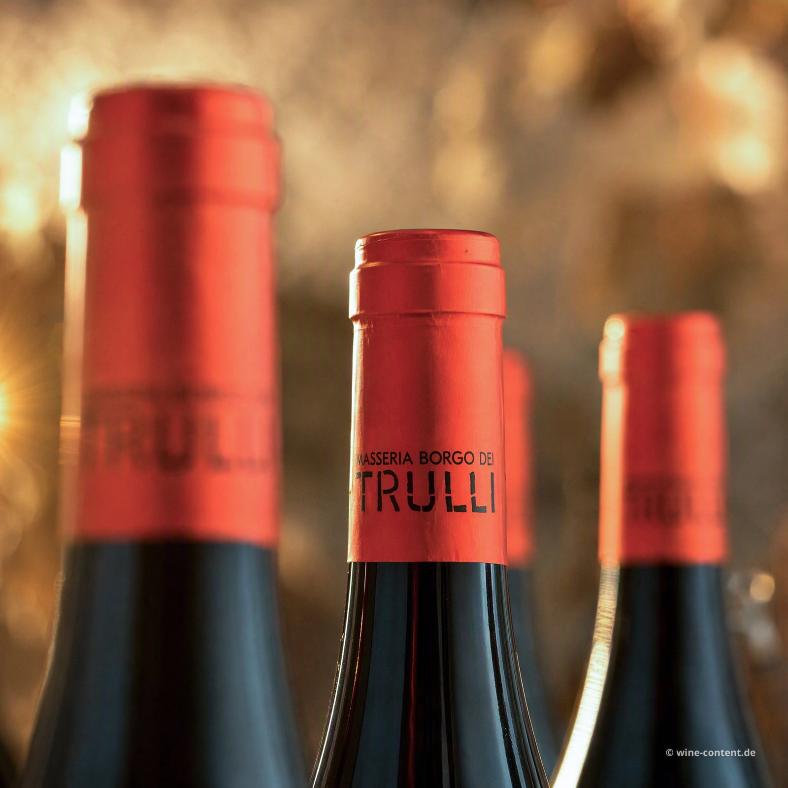 6er-Sparpaket Primitivo Appassimento 2025 Lucale