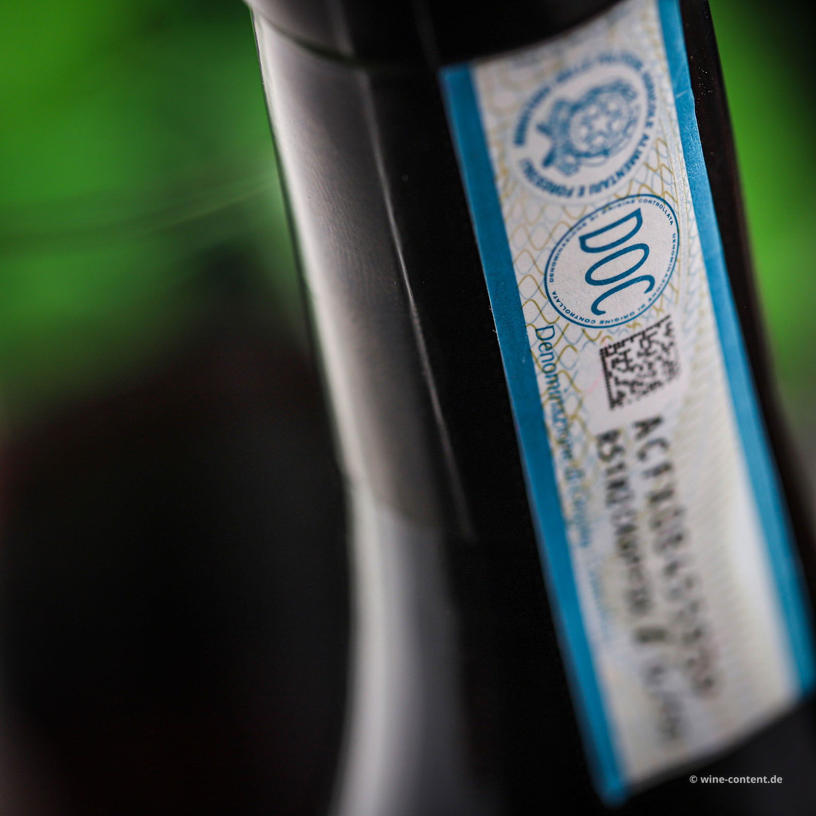 Dolcetto d'Alba 2023 Augenta Dolcetto d'Alba 2023 Augenta