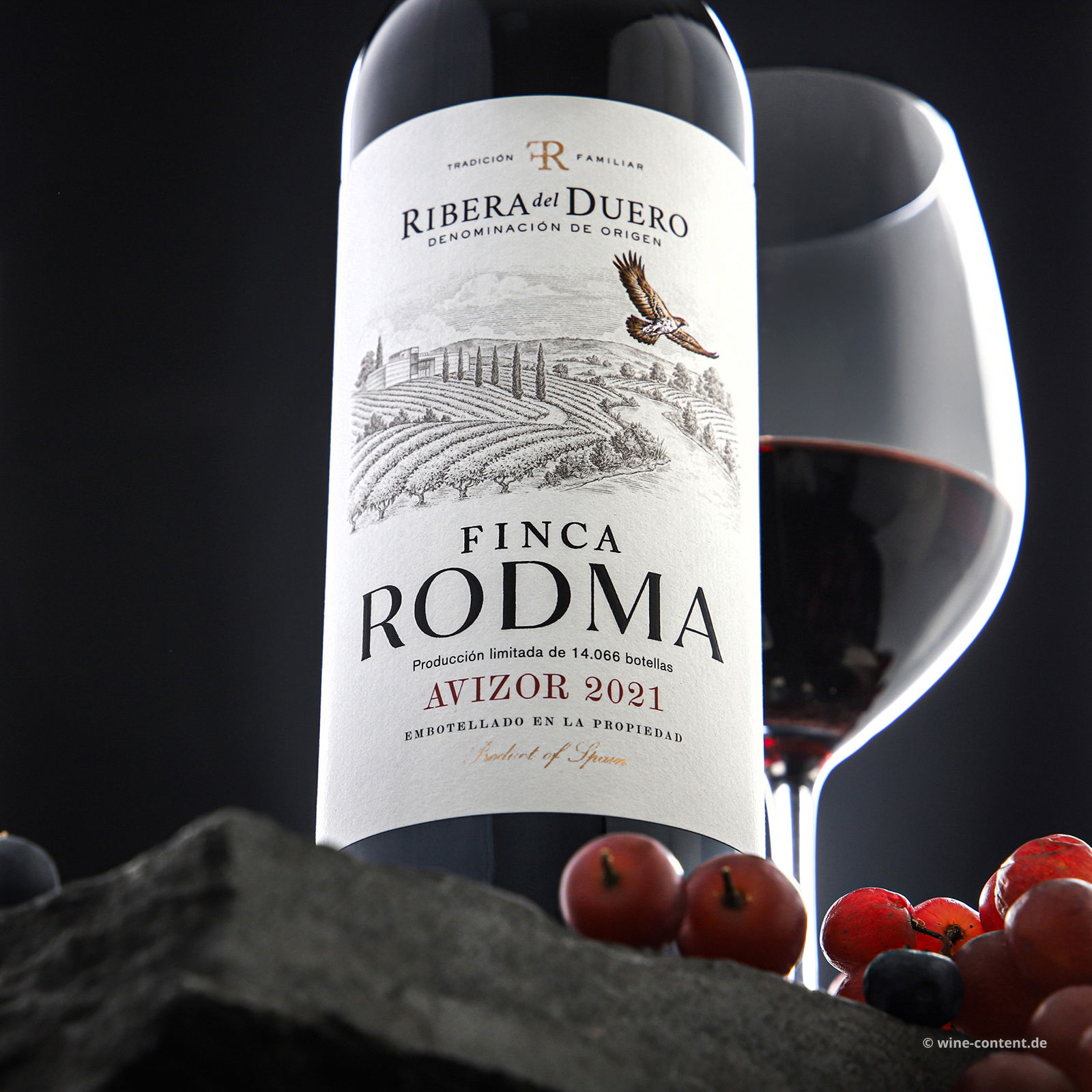 Tempranillo 2021 Avizor