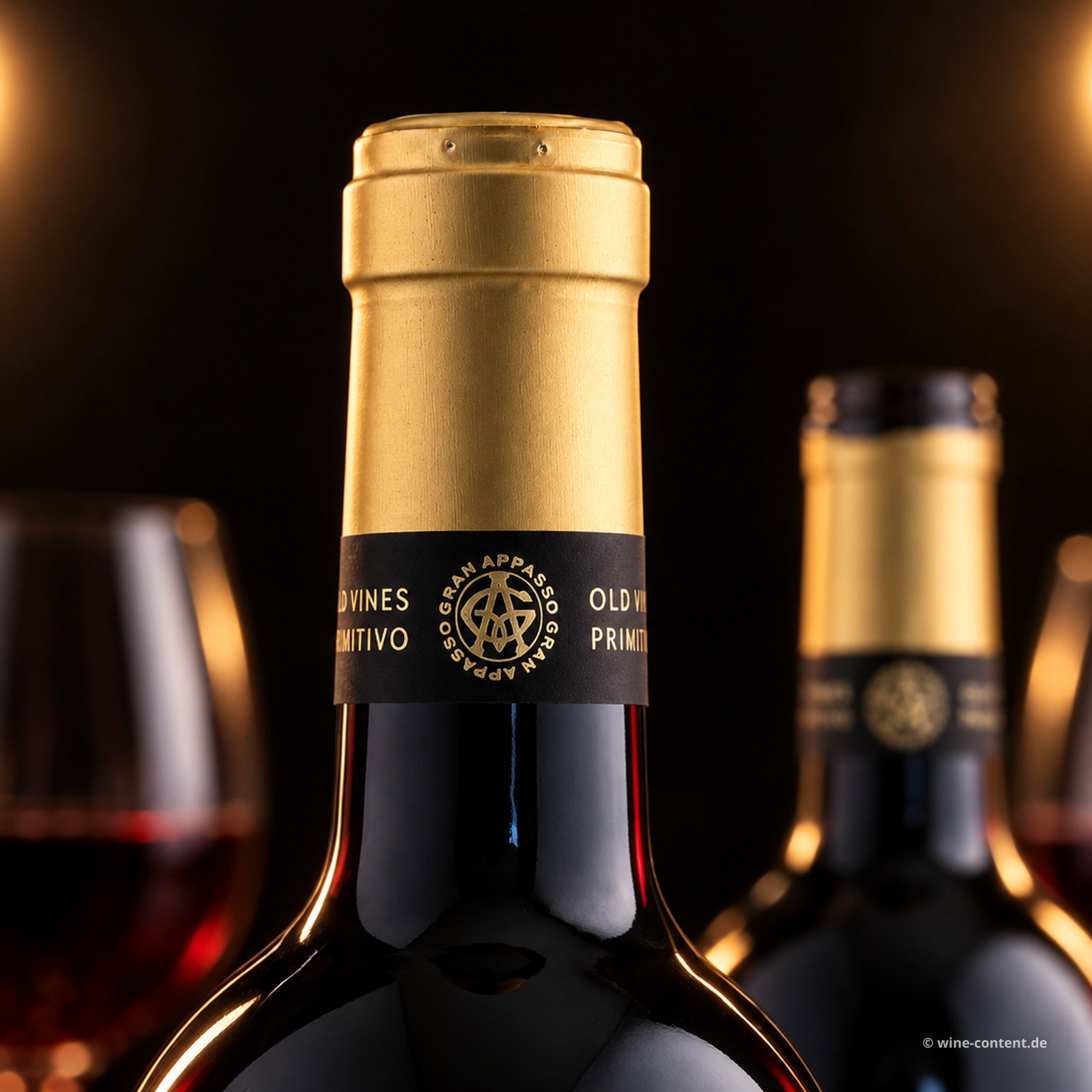 Primitivo 2025 Gran Appasso Collezione