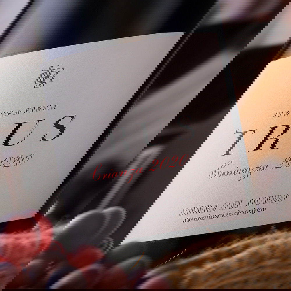 Tempranillo Crianza 2020 Trus
