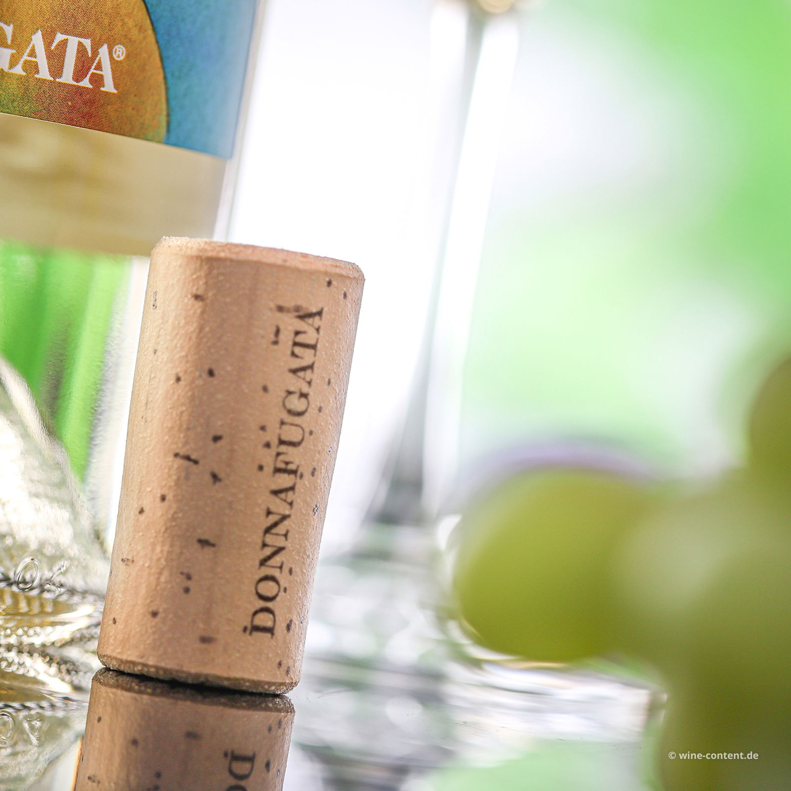 Sicilia Bianco 2024 Damarino