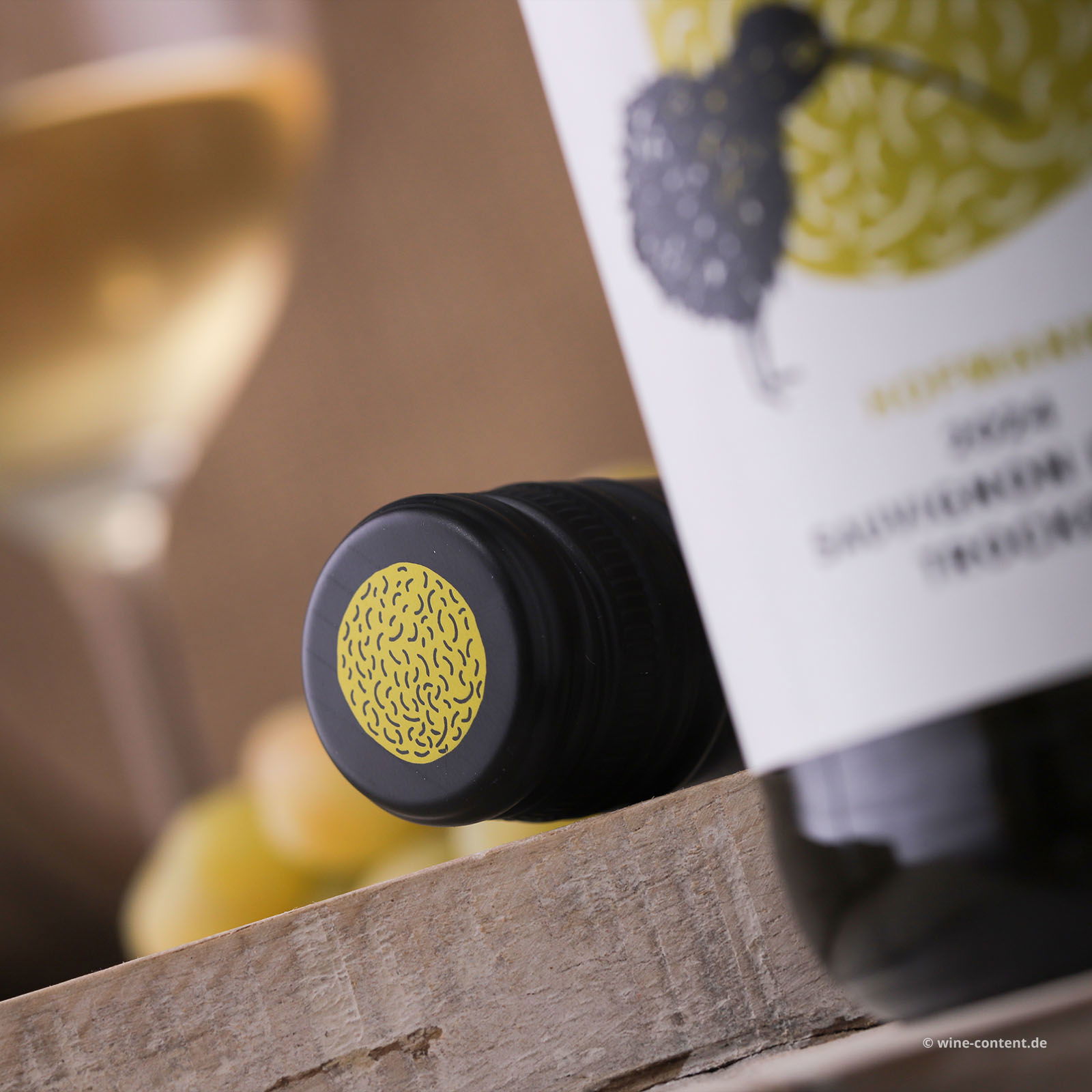 Sauvignon Blanc 2025 Kiwi Bio