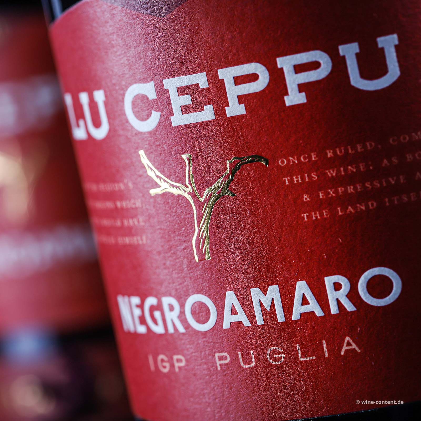 Negroamaro 2025 Lu Ceppu