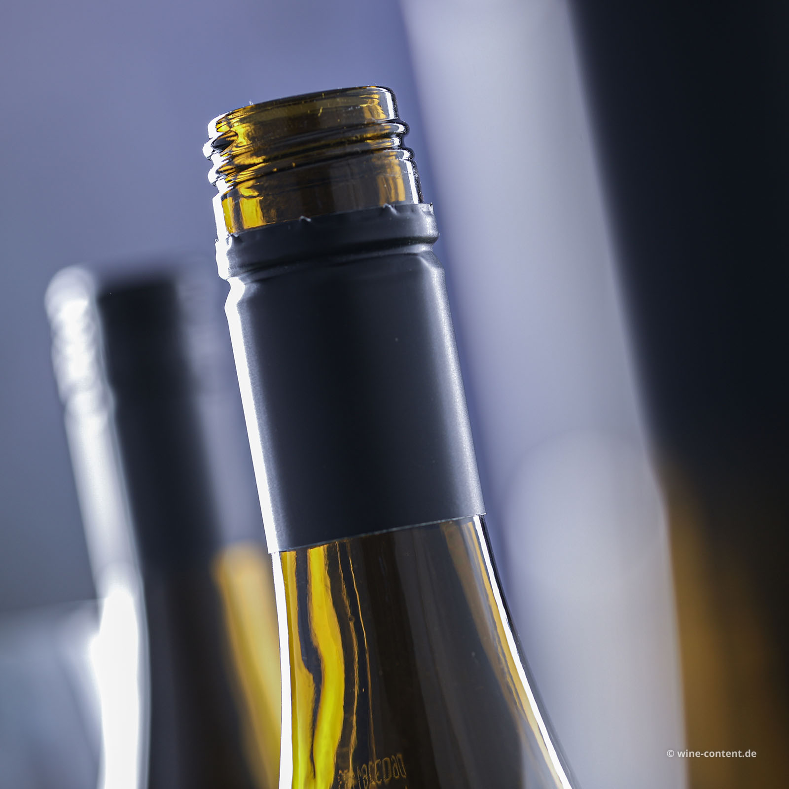 6er-Sparpaket Pinot Grigio 2025 Puiattino