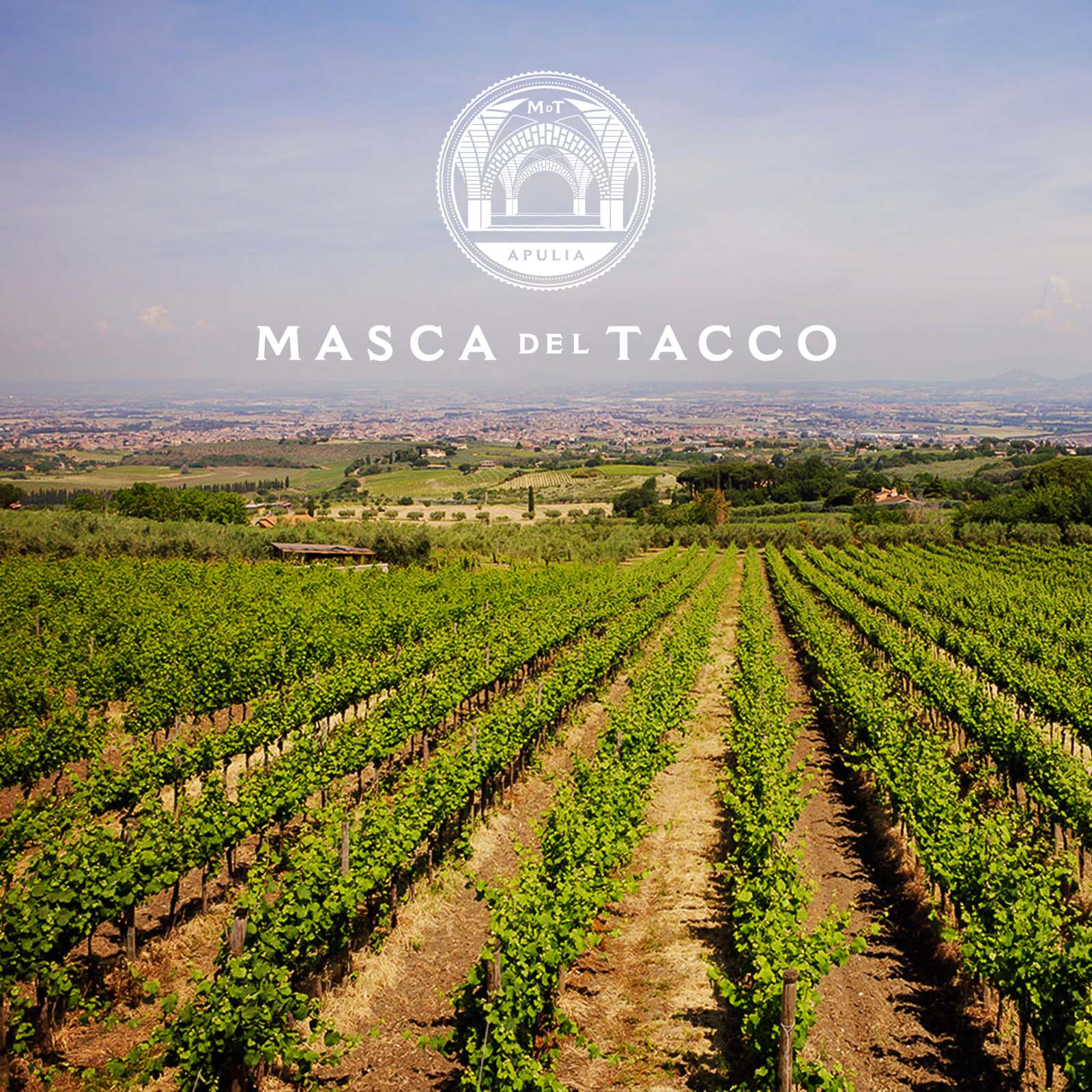 Primitivo di Manduria 2023 Lu Rappaio Primitivo di Manduria 2023 Lu Rappaio