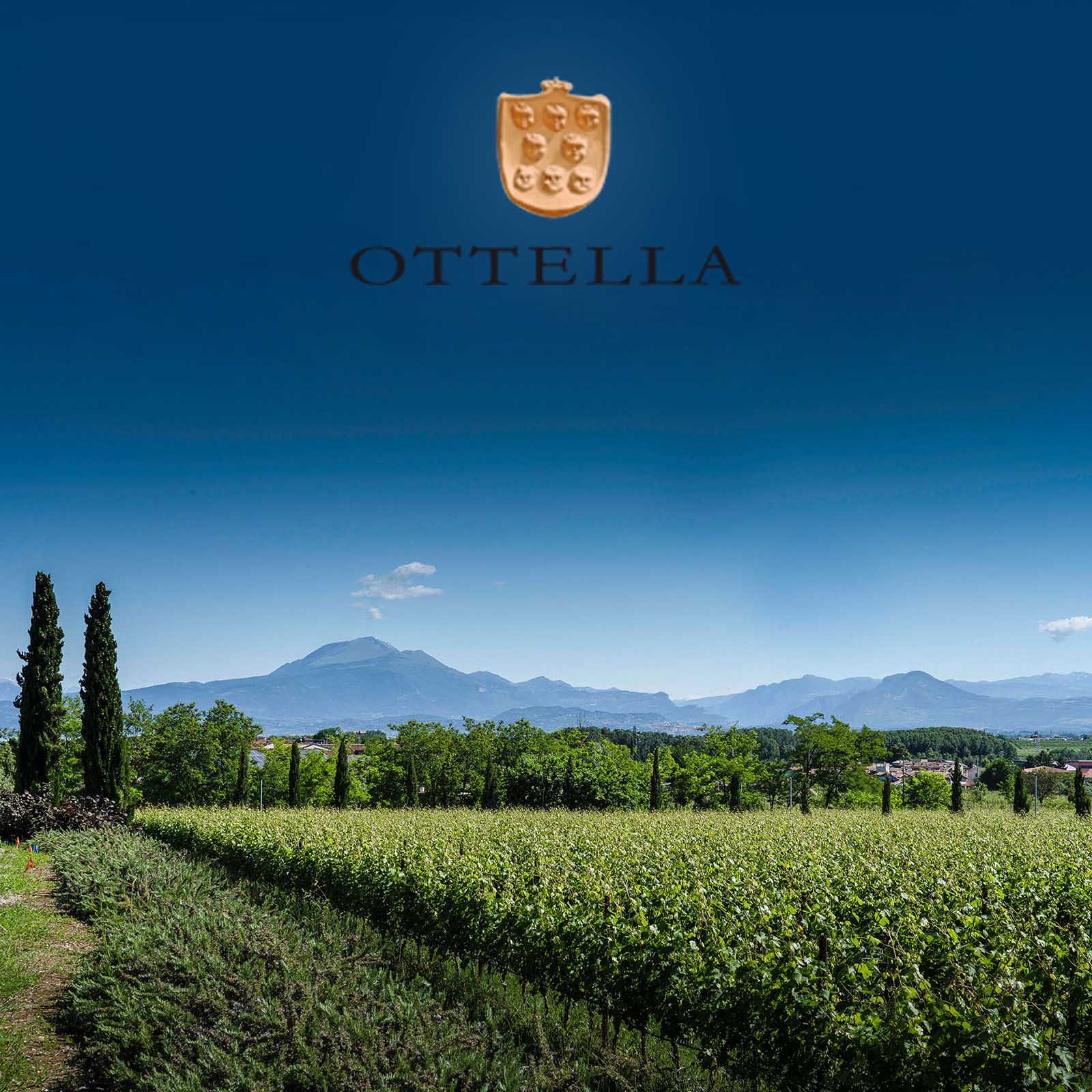Lugana Riserva 2023 Molceo