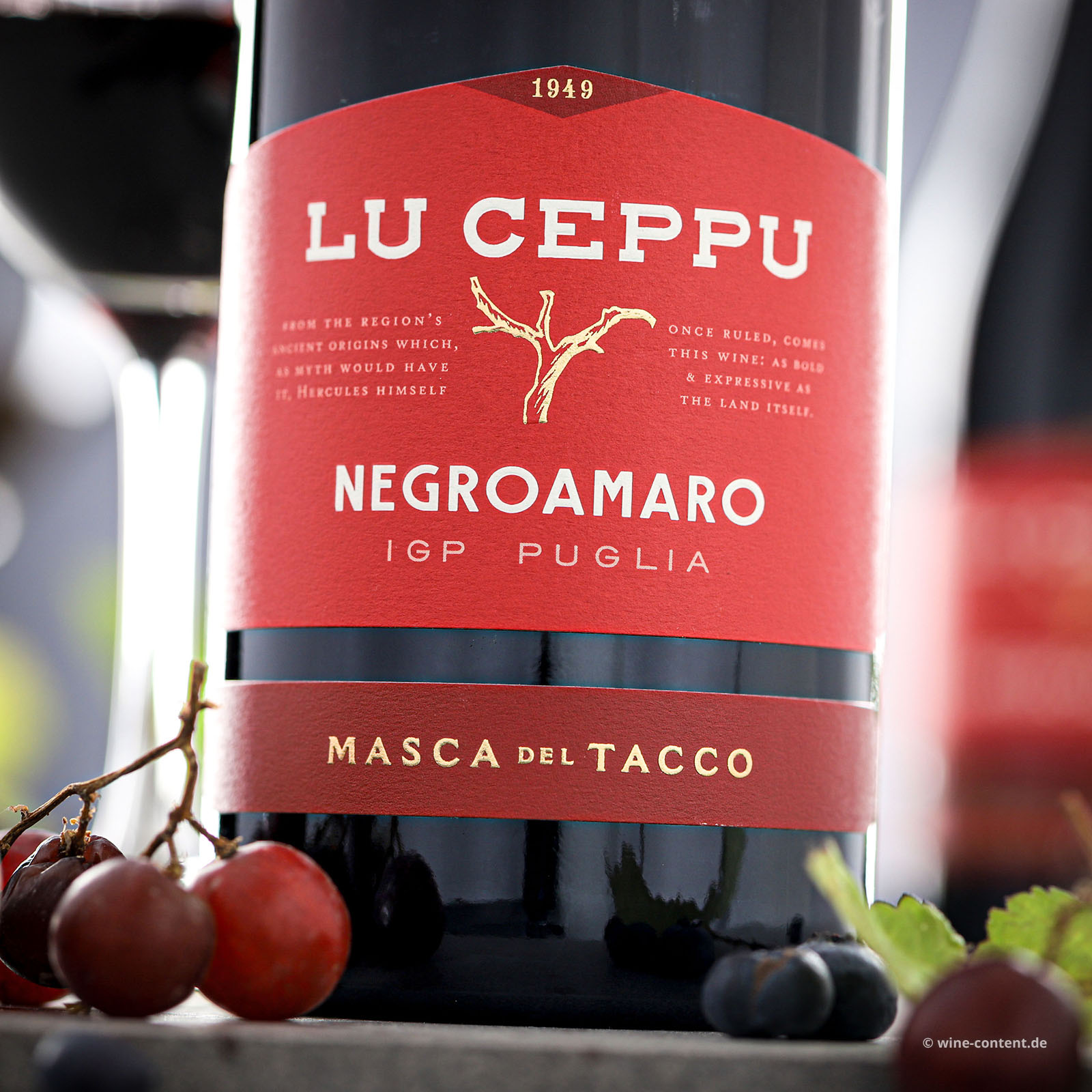 Negroamaro 2025 Lu Ceppu