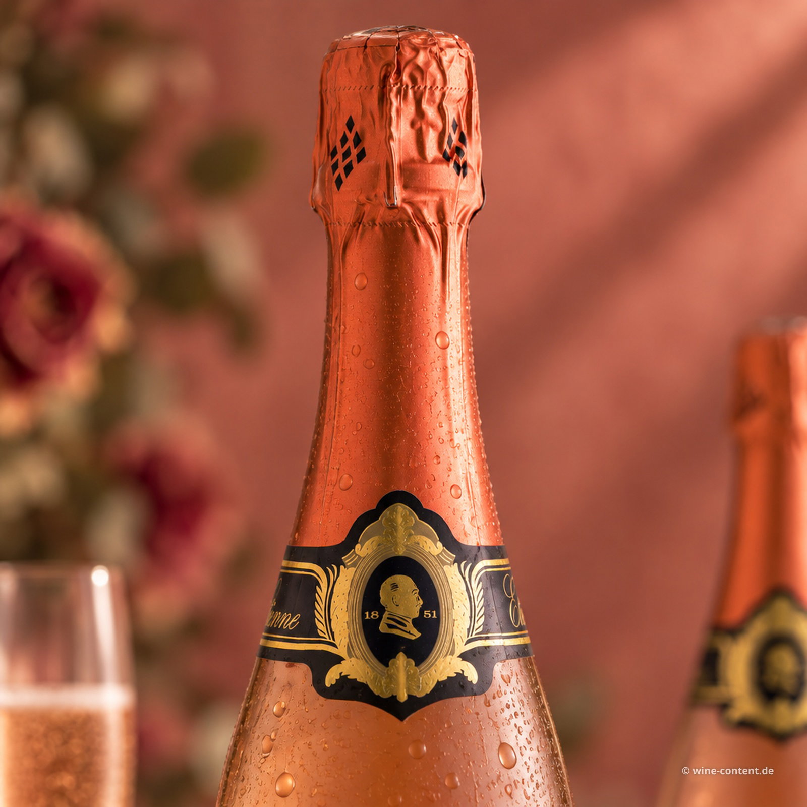 6er-Sparpaket Crémant de Loire Rosé Etienne Brut