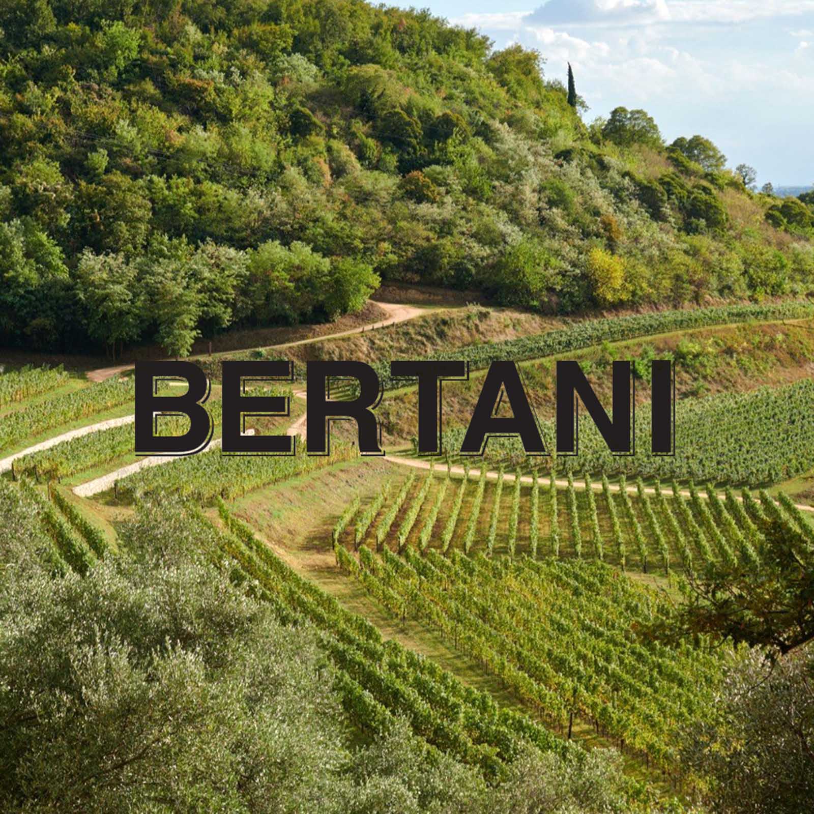 6er-Holzkiste Valpolicella Ripasso Classico Superiore 2021 Catullo