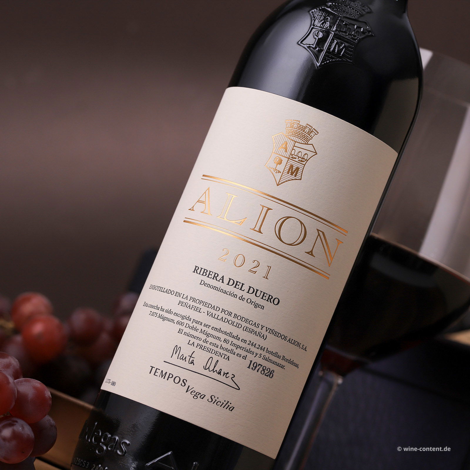 Ribera del Duero 2021 Alión
