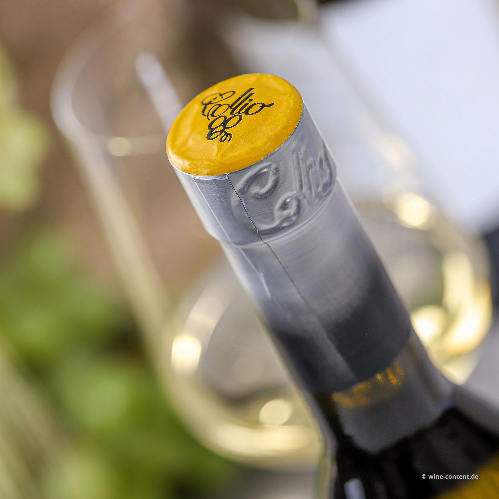Pinot Bianco Collio 2024