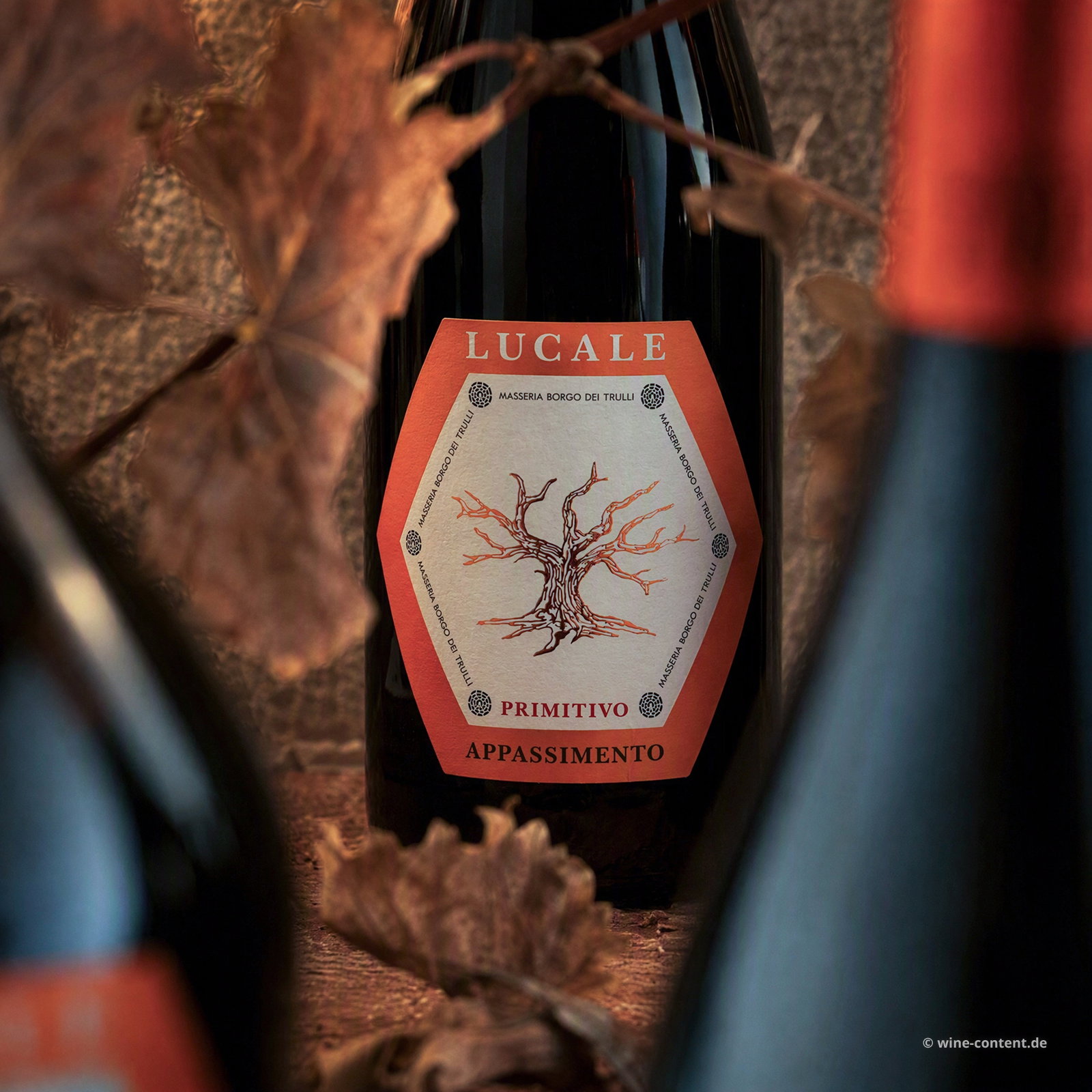 6er-Sparpaket Primitivo Appassimento 2025 Lucale