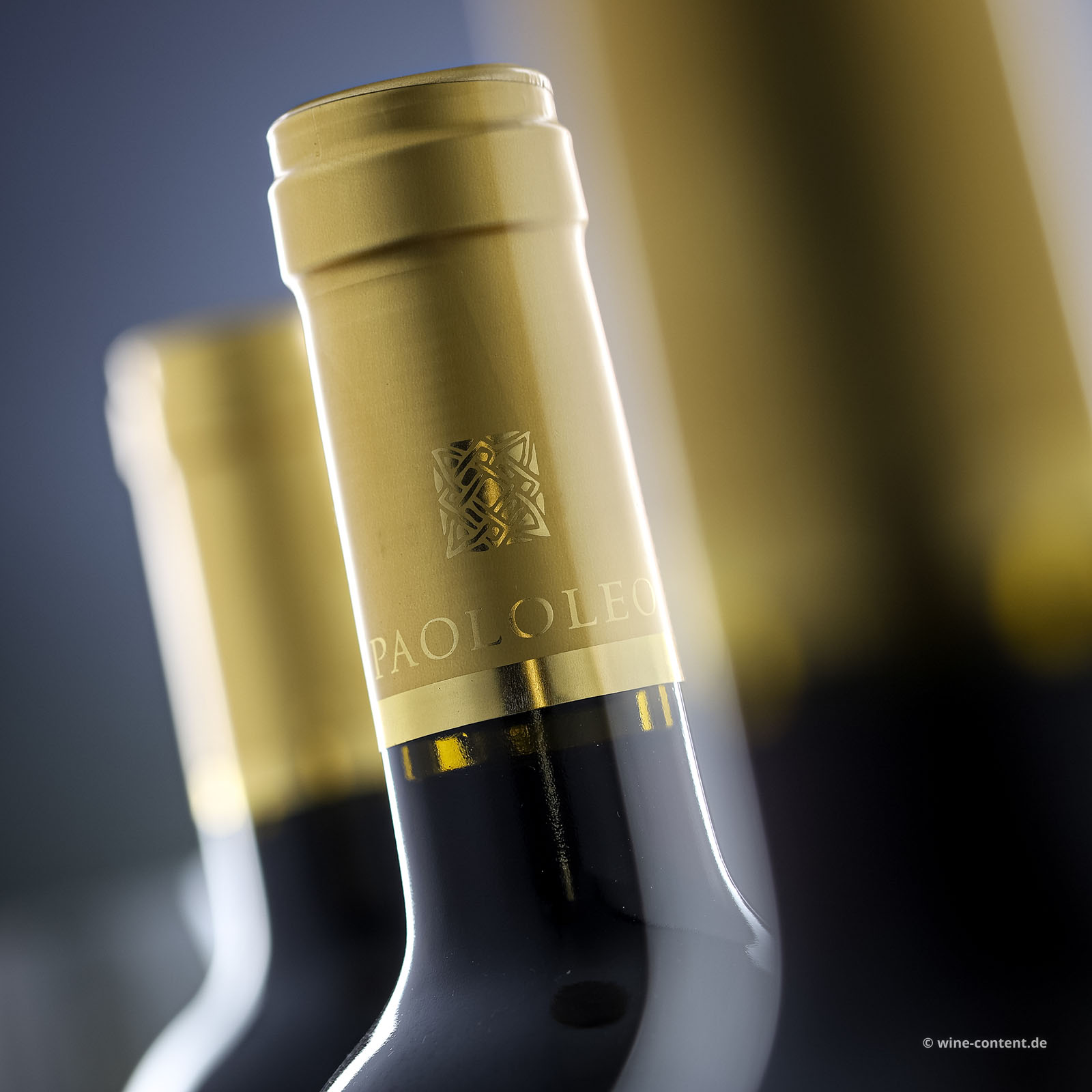 6er-Sparpaket Malvasia Nera Salento 2024 Moramora
