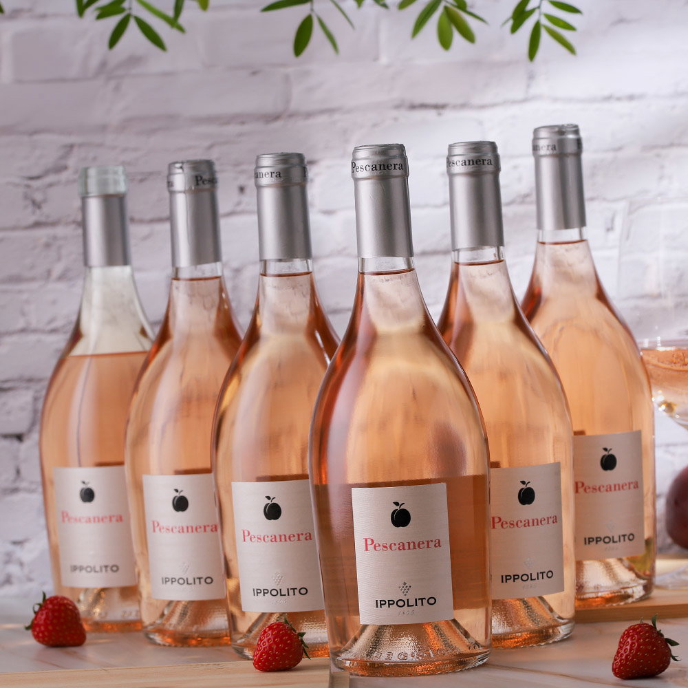 6er-Sparpaket Calabria Rosé 2025 Pescanera