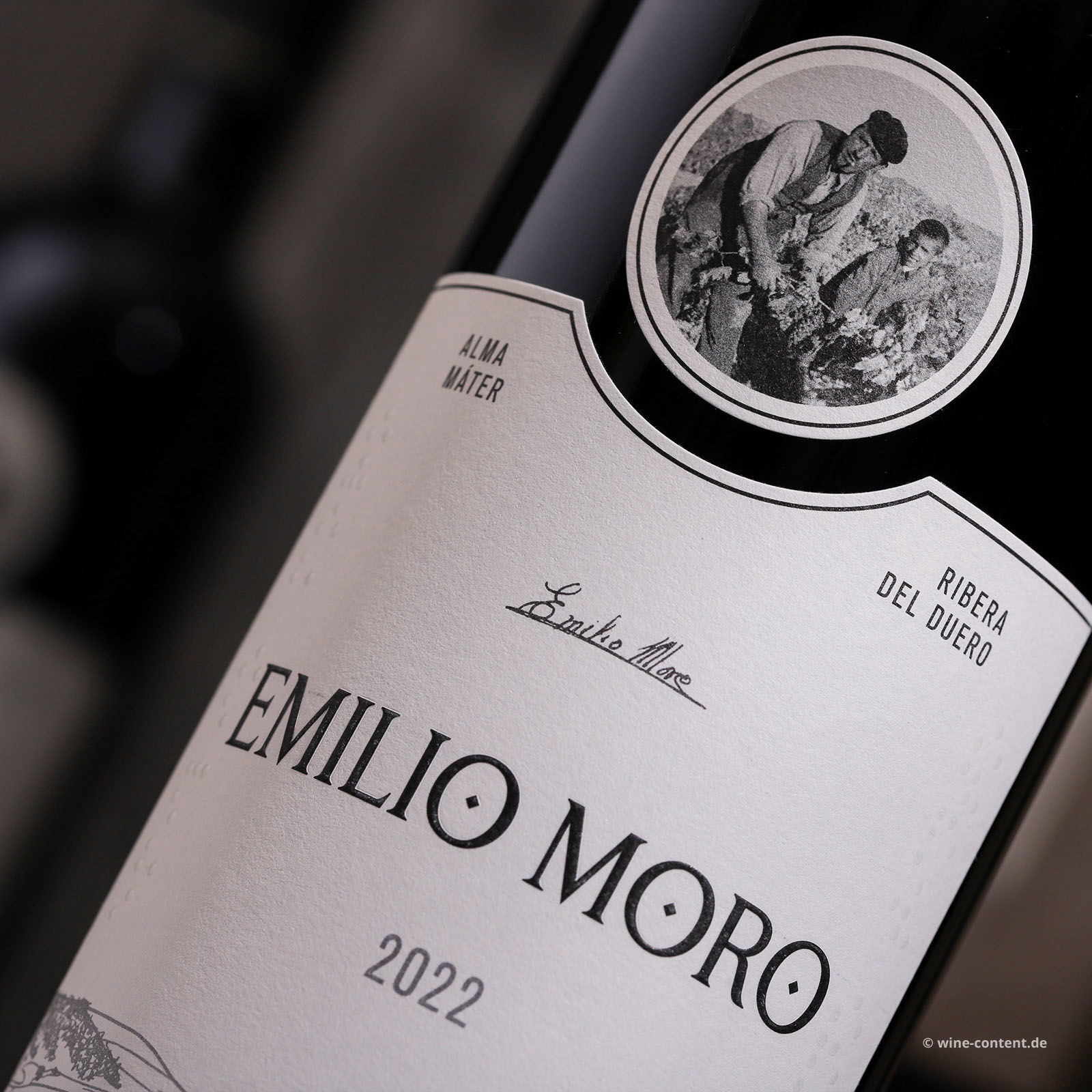 Tempranillo 2022 Emilio Moro Tempranillo 2022 Emilio Moro