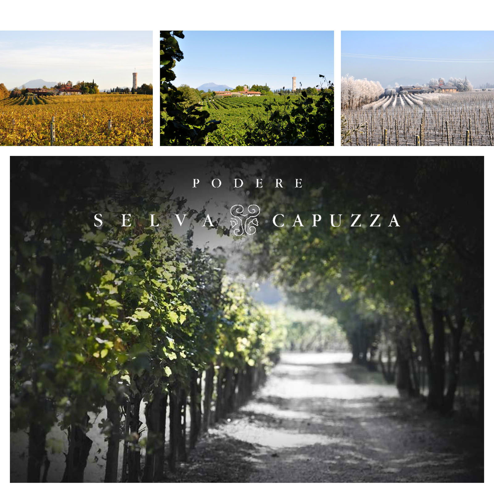 Lugana Riserva 2020 Menasasso