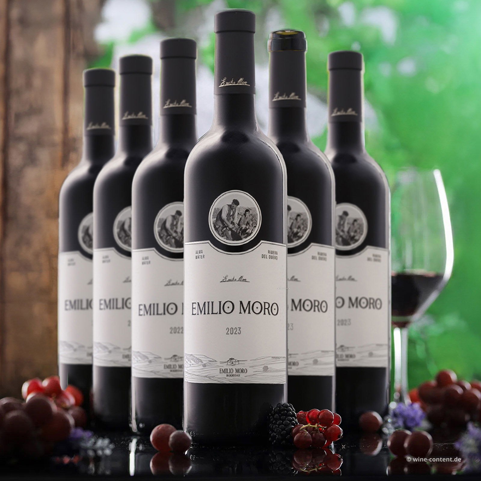 6er-Sparpaket Tempranillo 2023 Emilio Moro