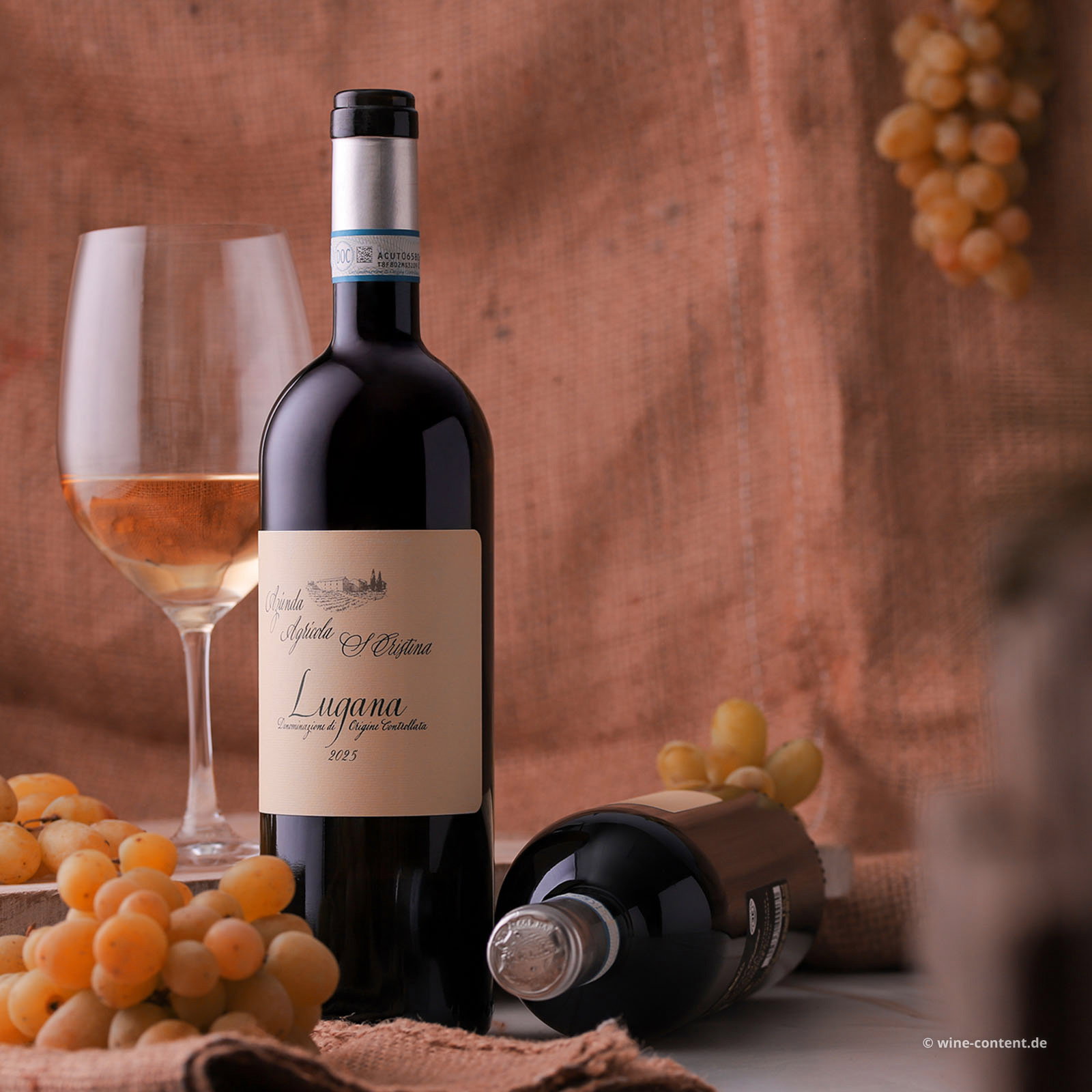 Lugana 2025 Santa Cristina