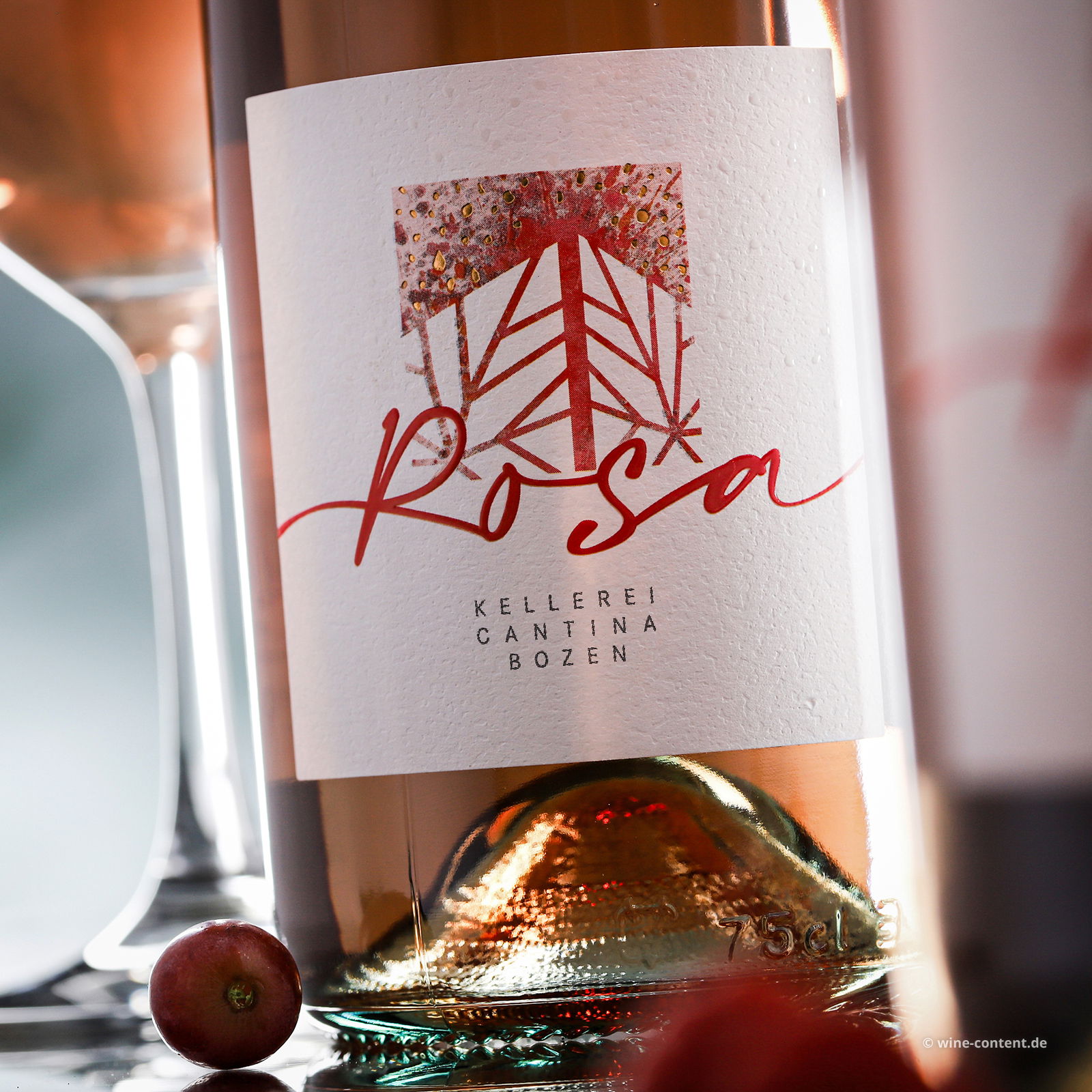 Rosa 9% Rosa 9%