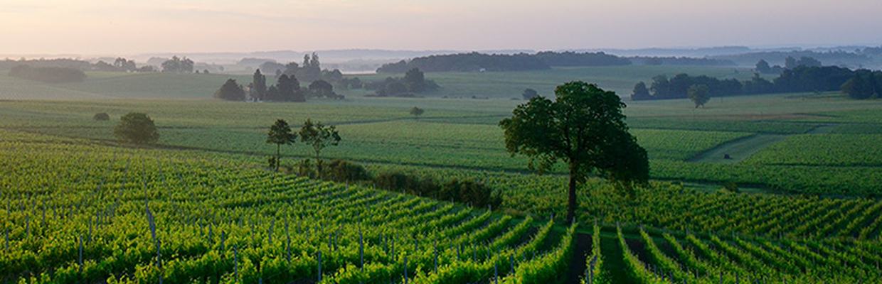 Château Roquefort