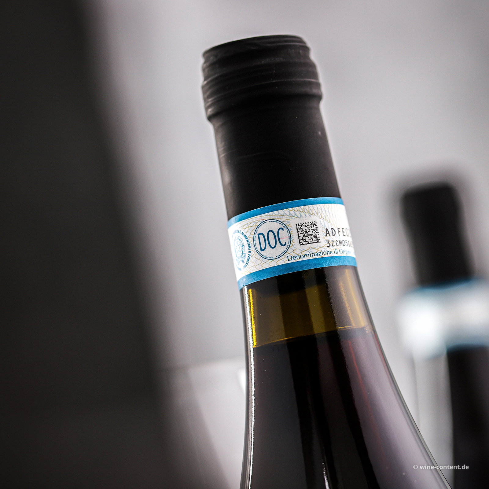 Nebbiolo Langhe 2023 Ventisei26