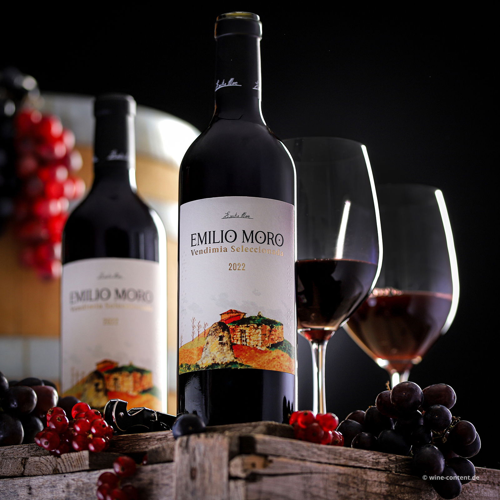 Tempranillo 2022 Vendimia Seleccionada