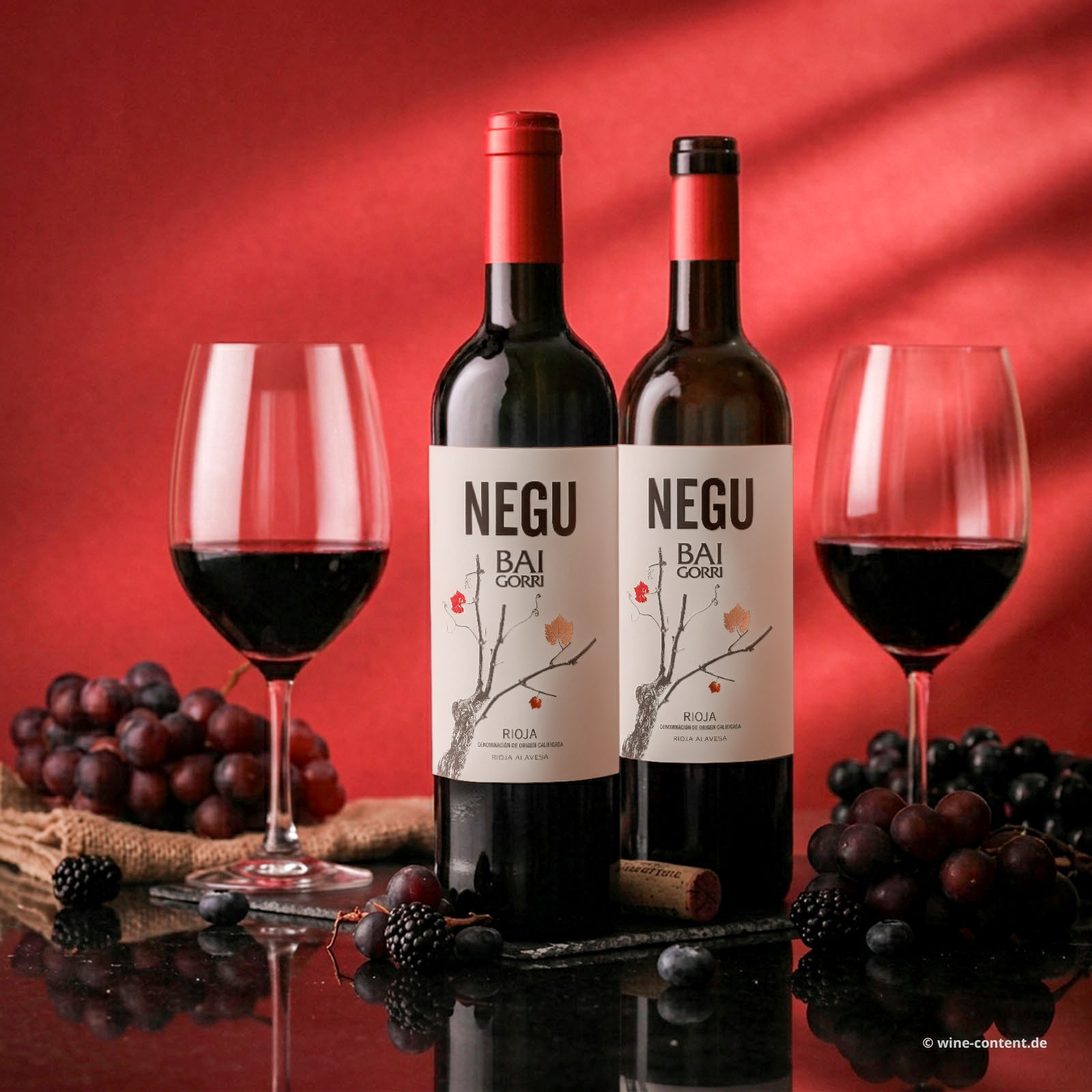Rioja 2025 Negu