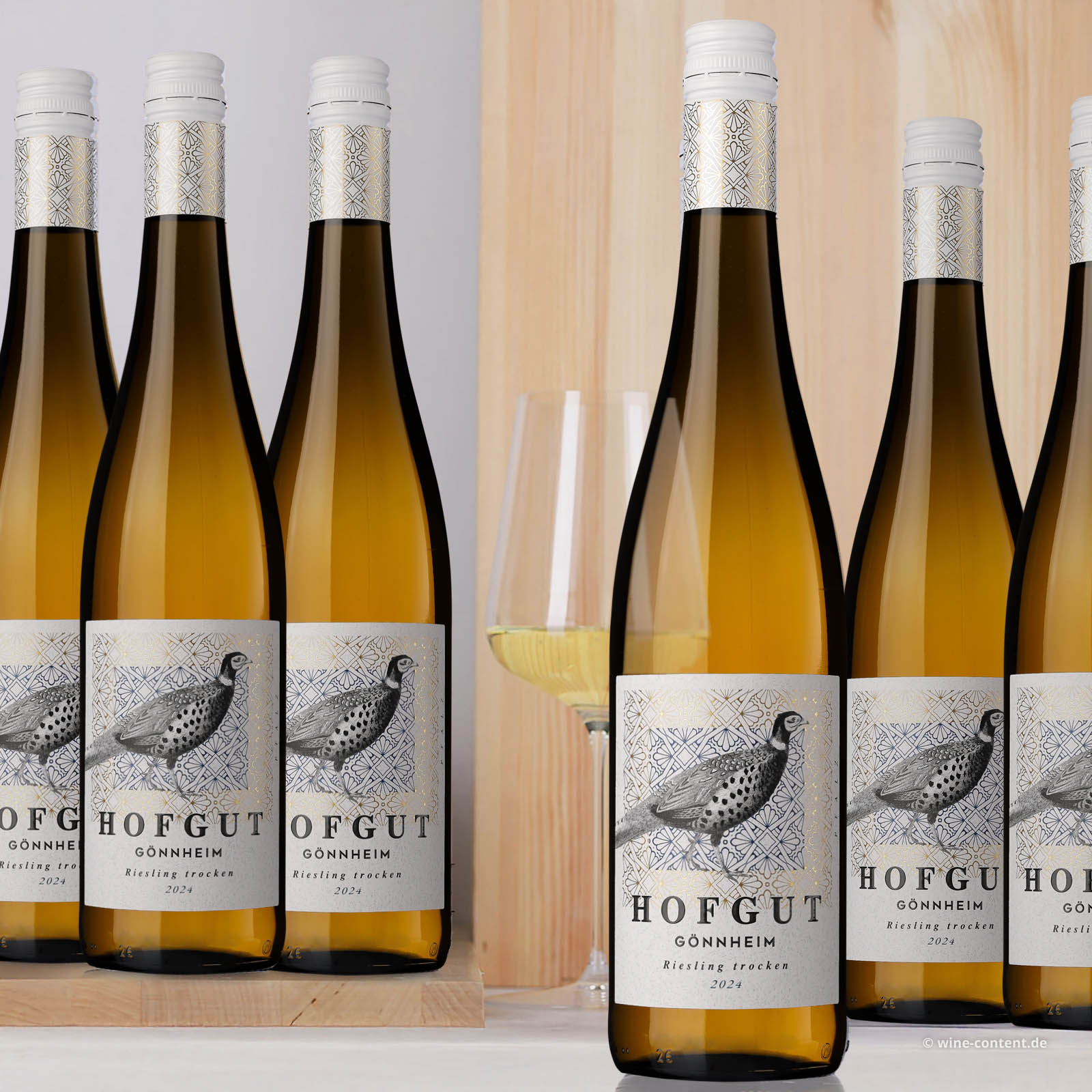 6er-Sparpaket Riesling 2024 Gönnheim Bio